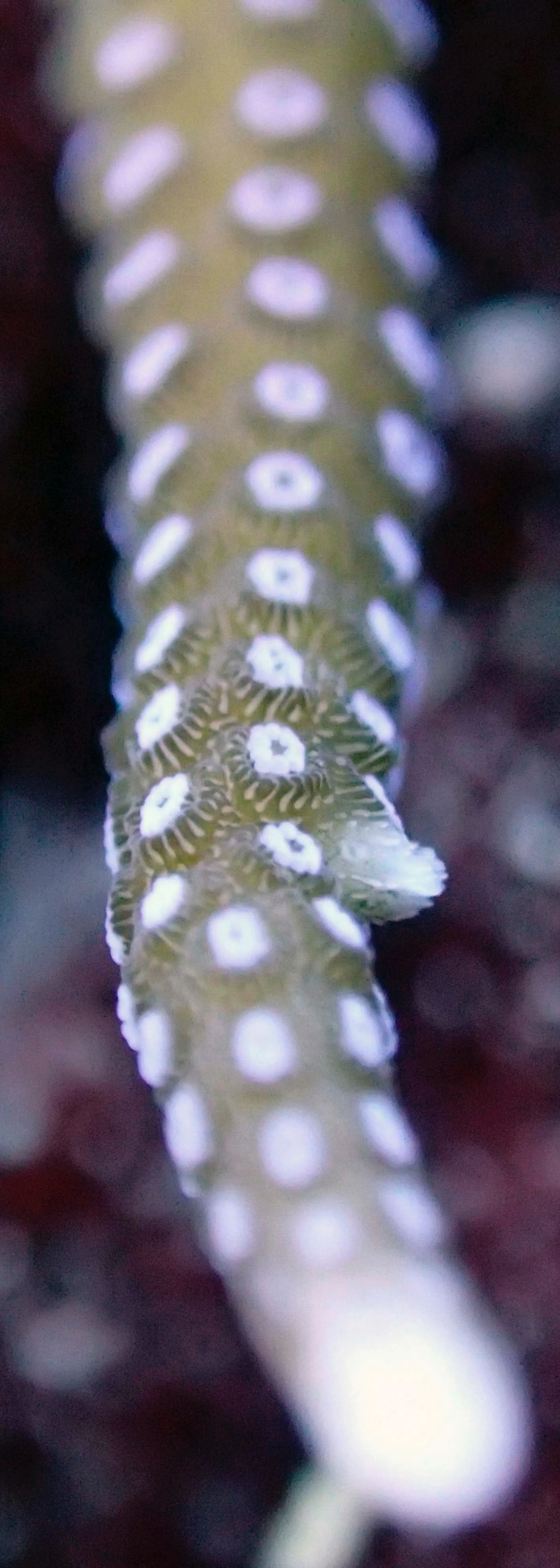 PB020513.jpg