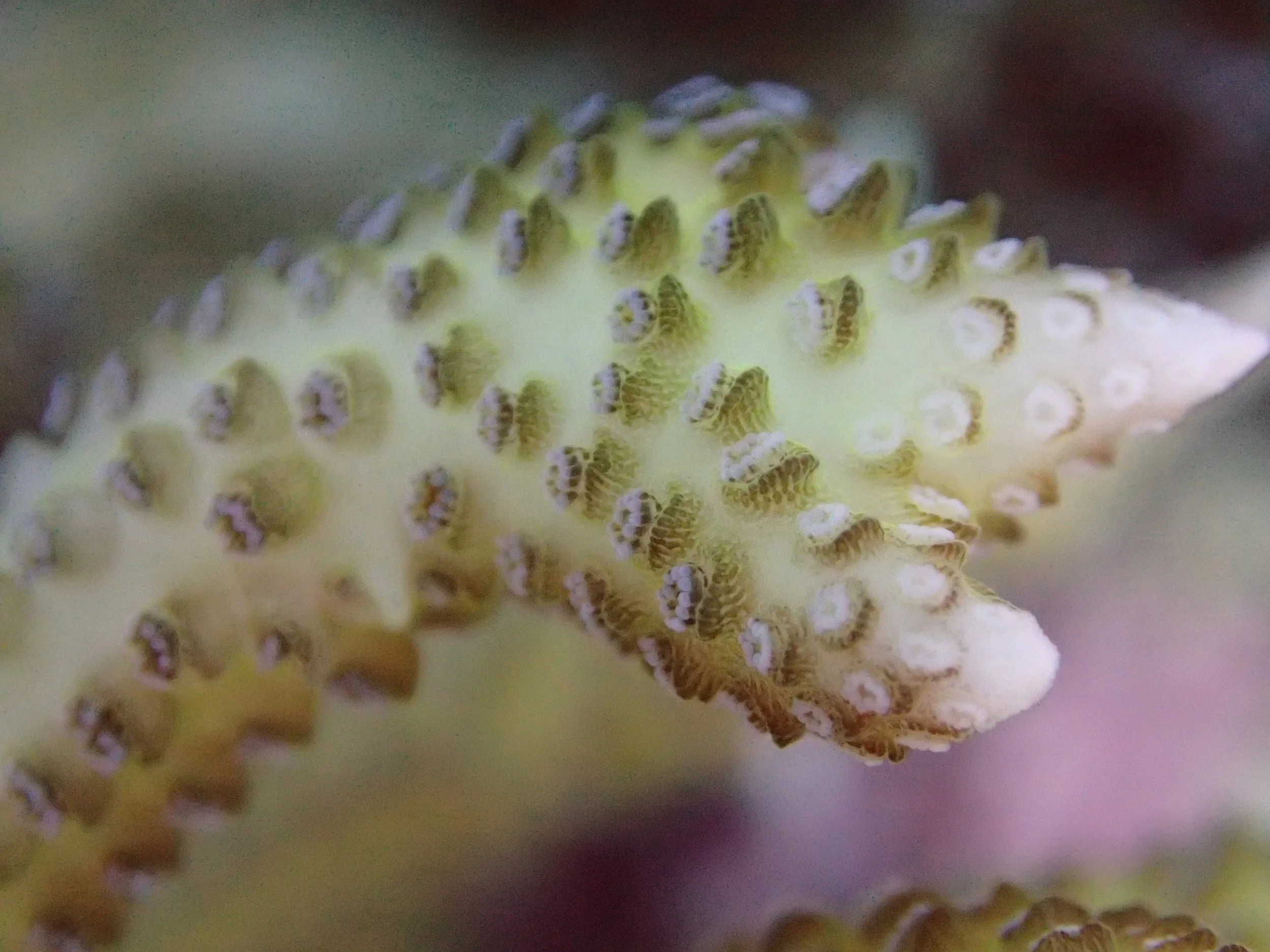 PB020540.jpg
