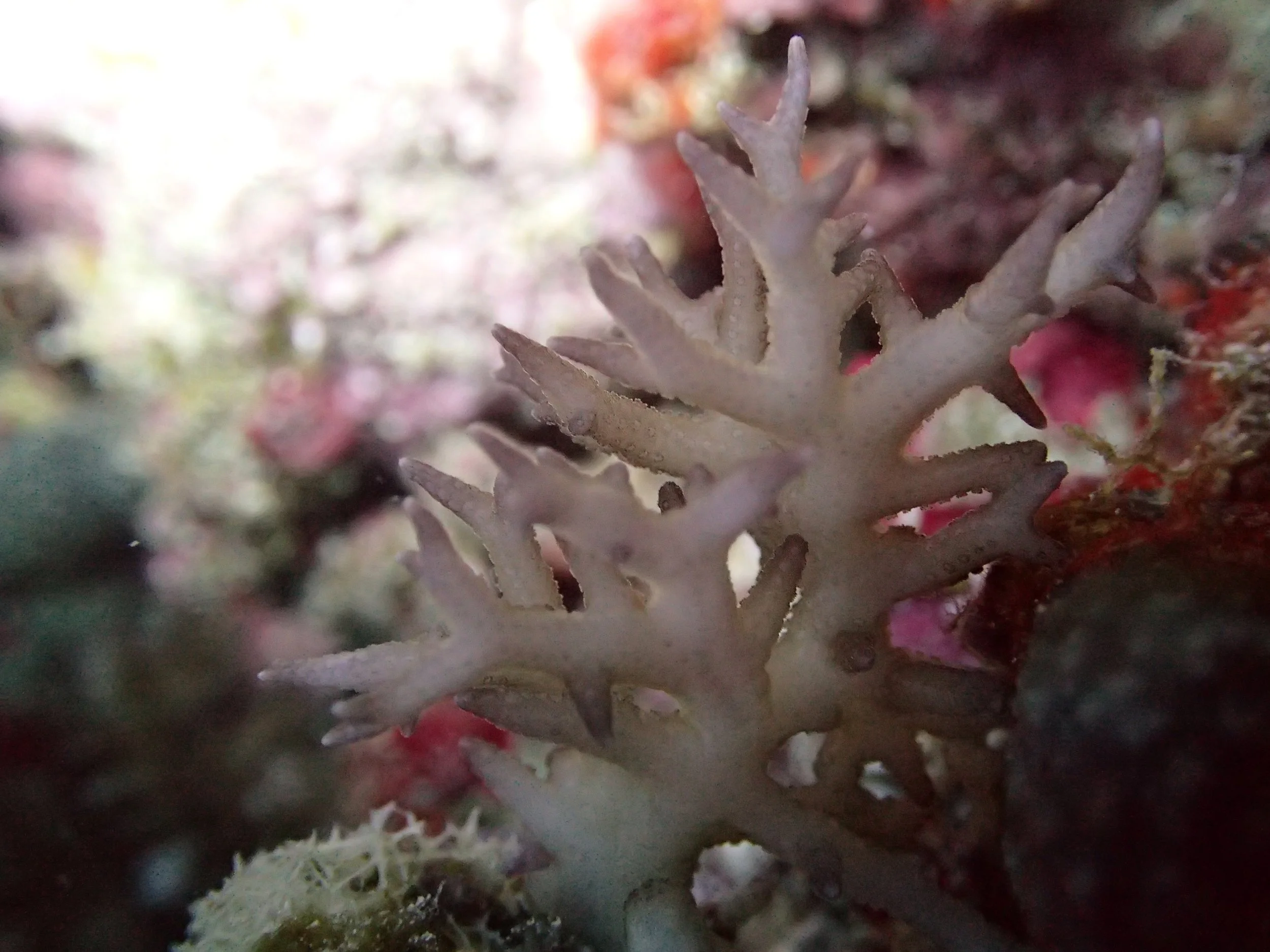 PB040449.jpg