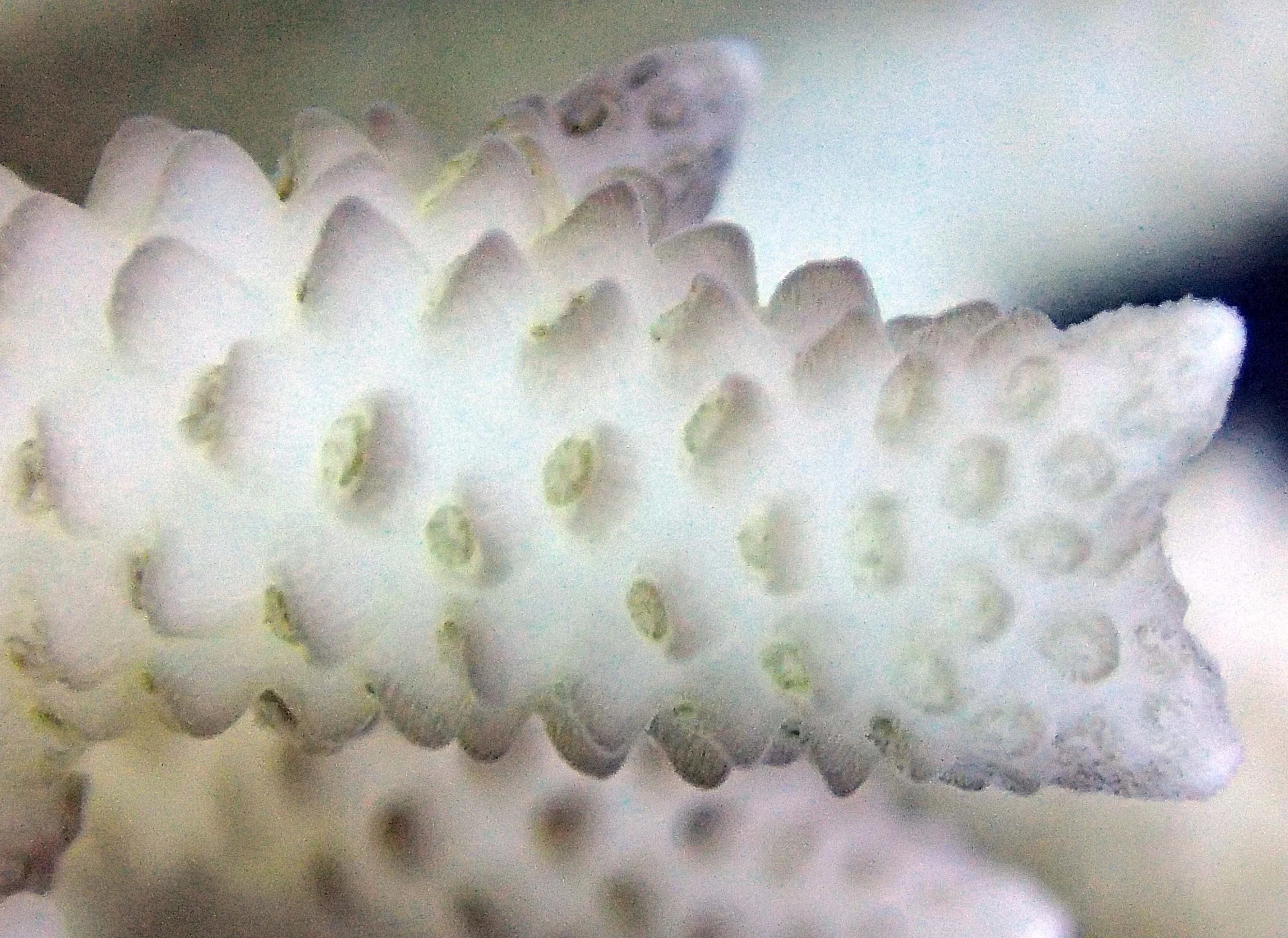 PB040490.jpg