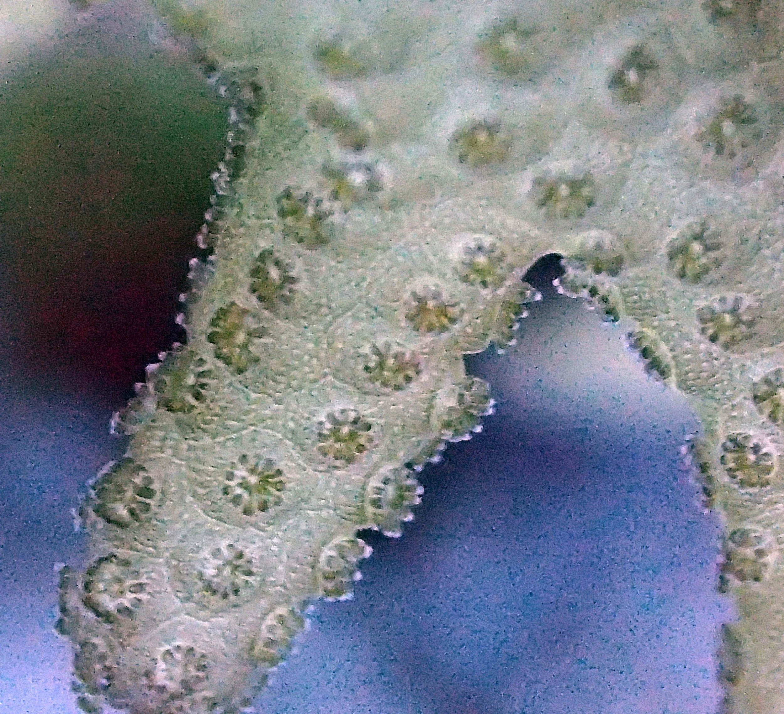PB050526.jpg