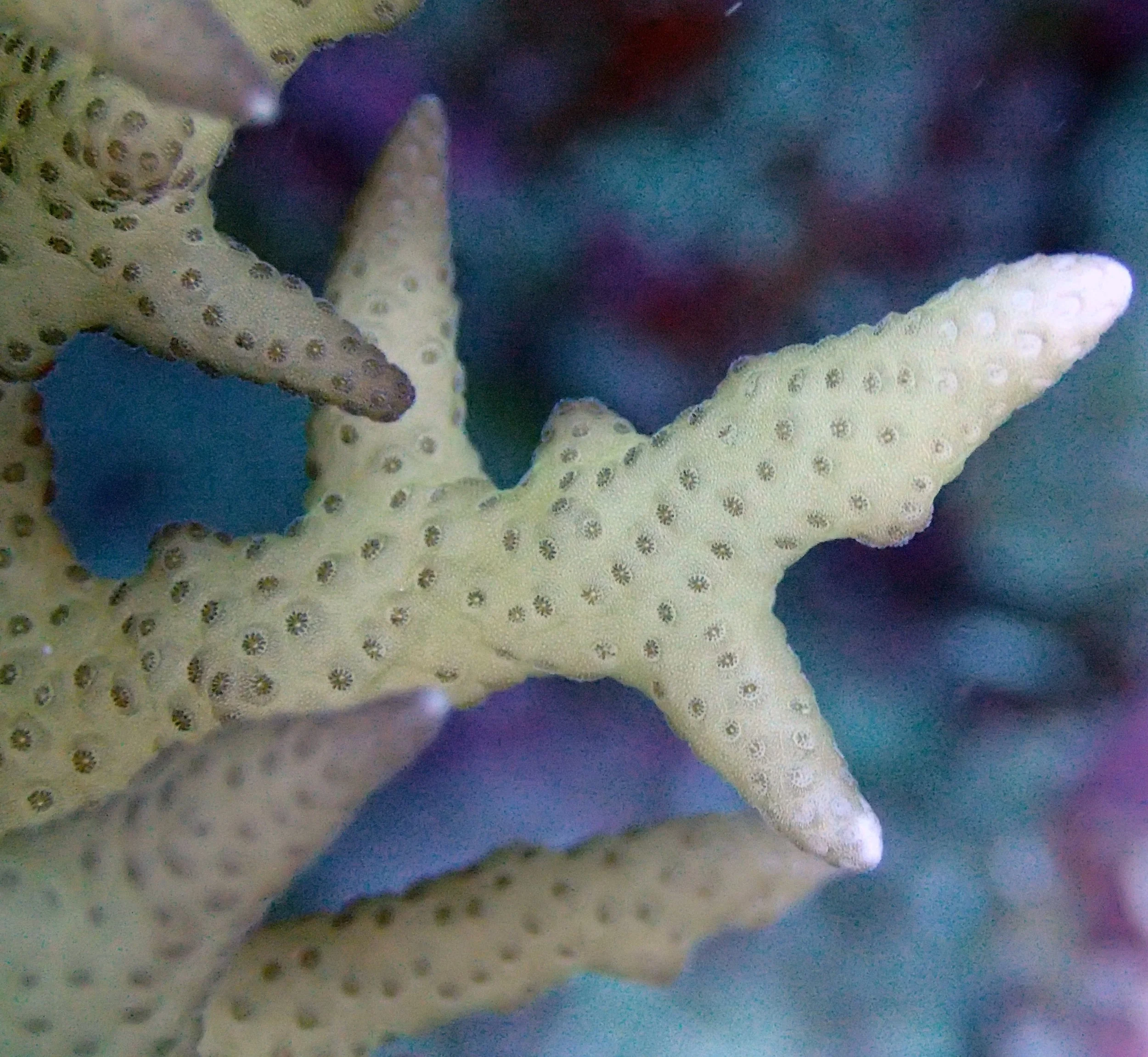 PB050573.jpg