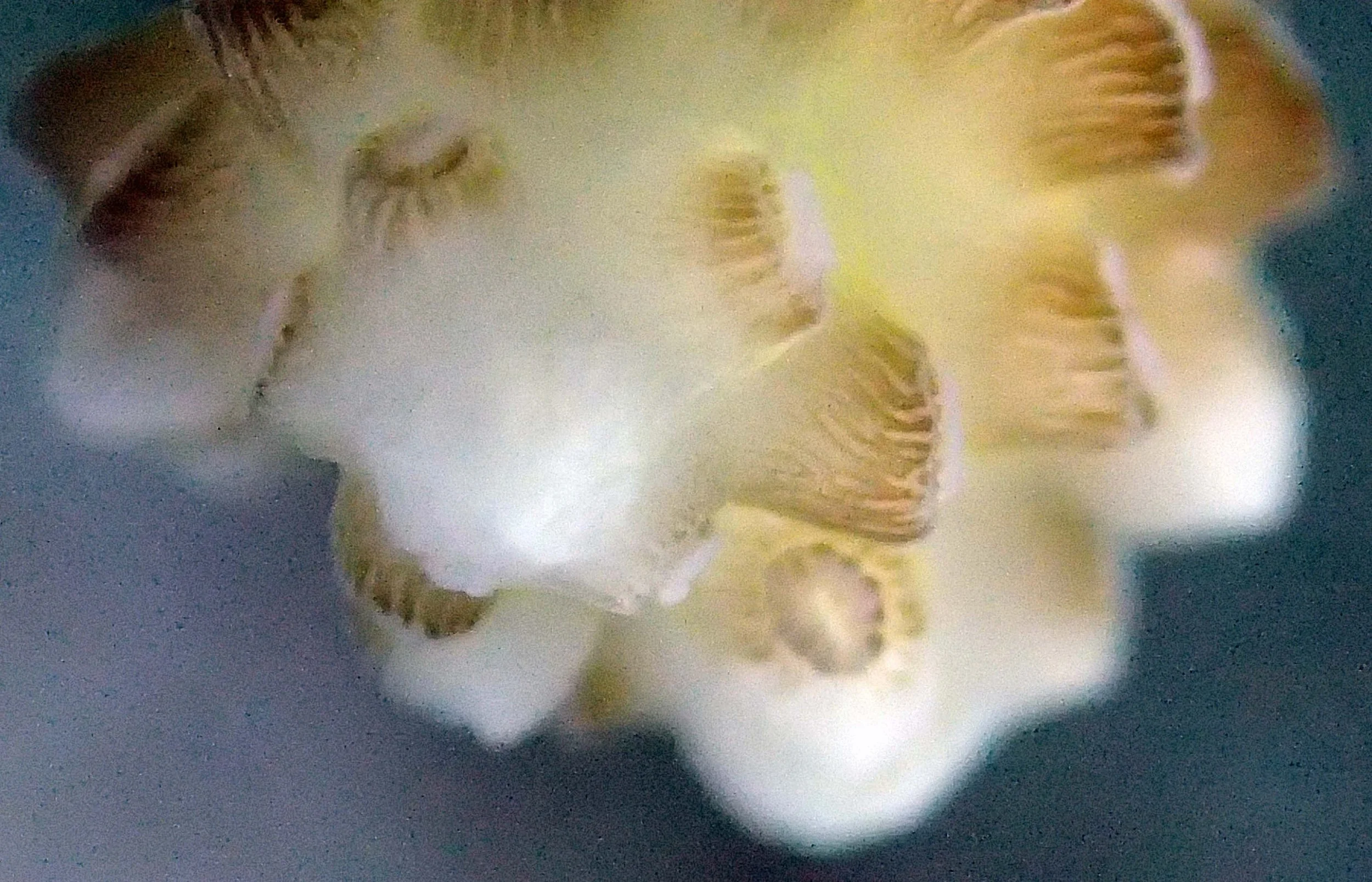 PB110809.jpg