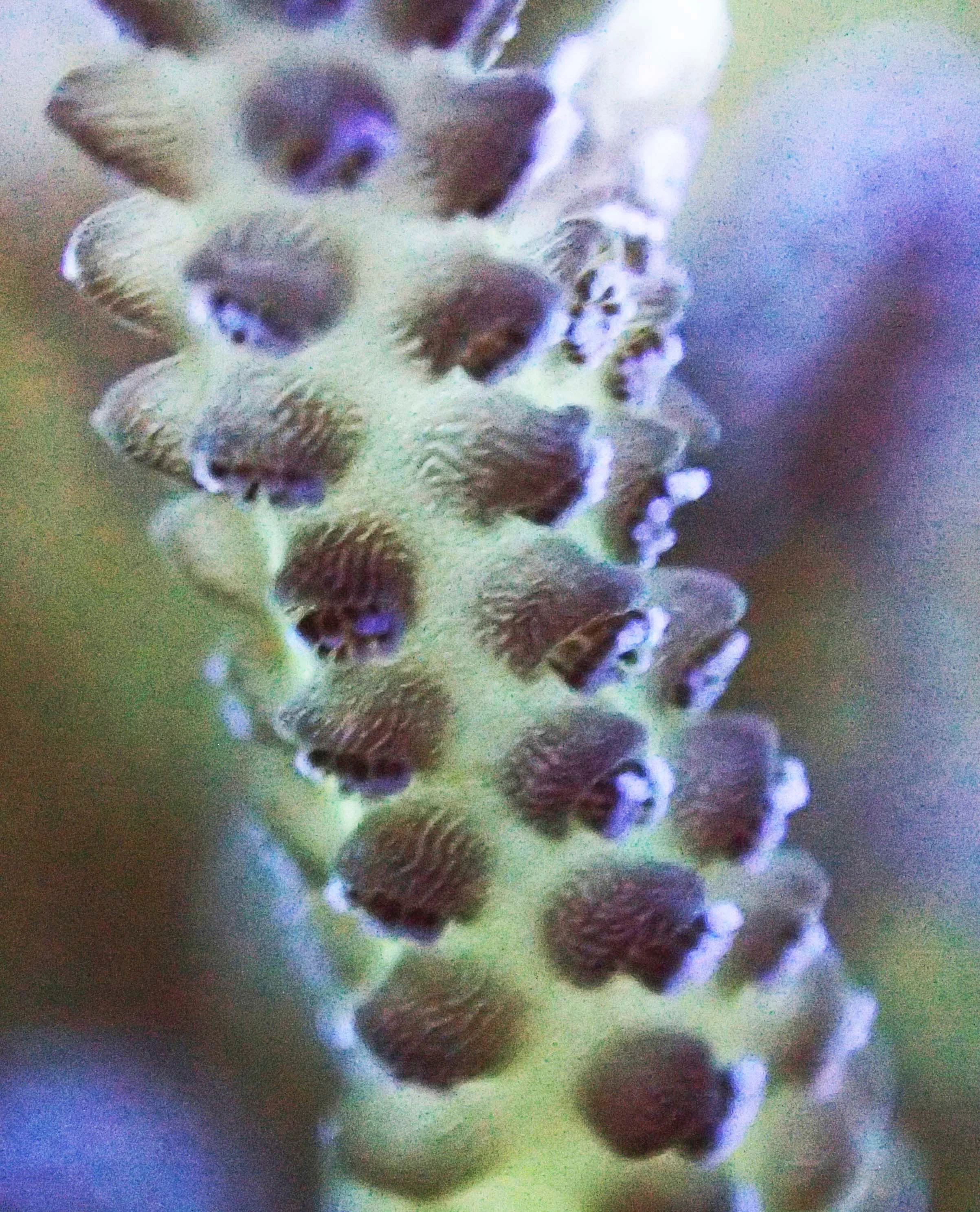 PB110852.jpg