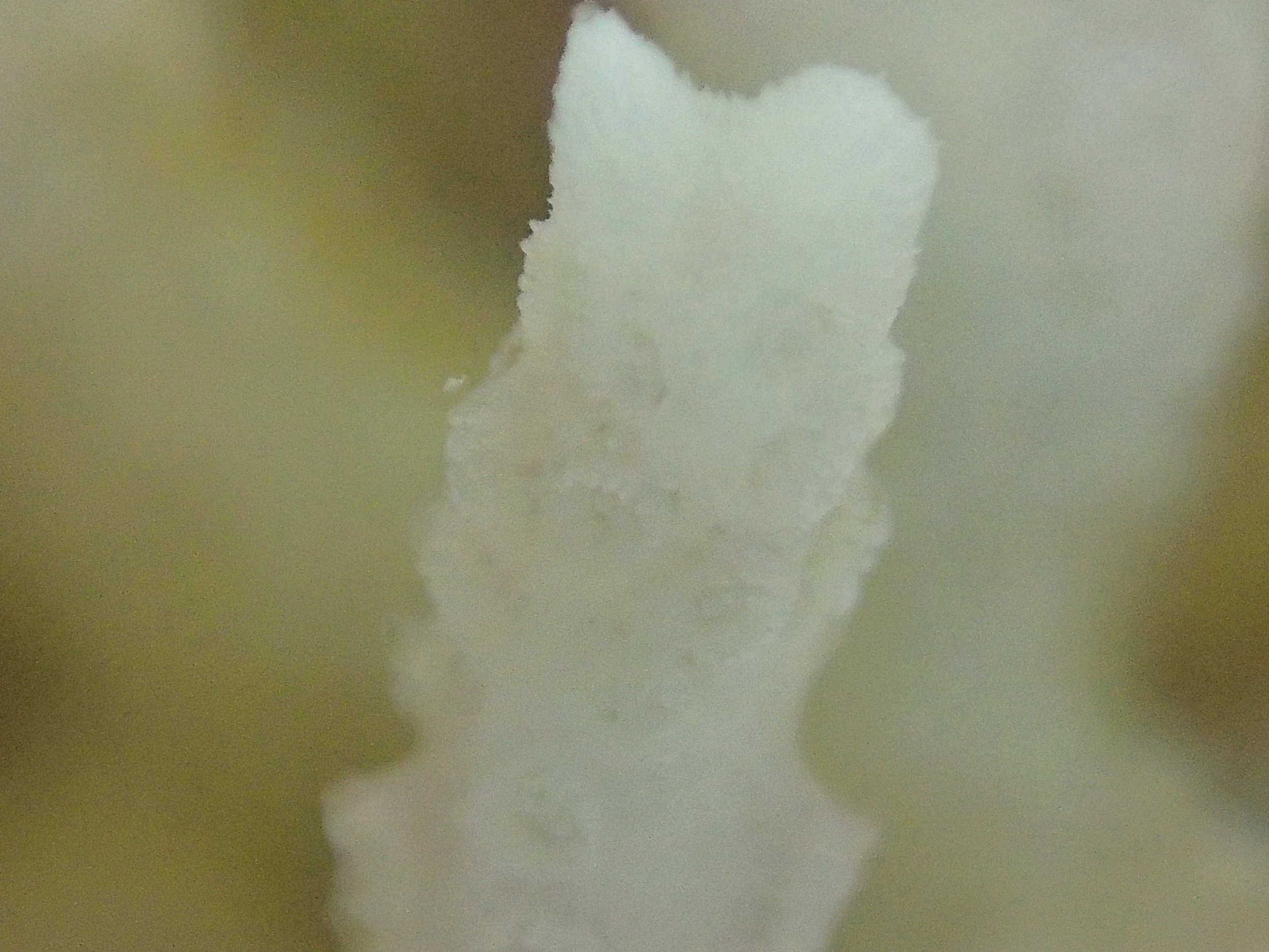 PB120959.jpg