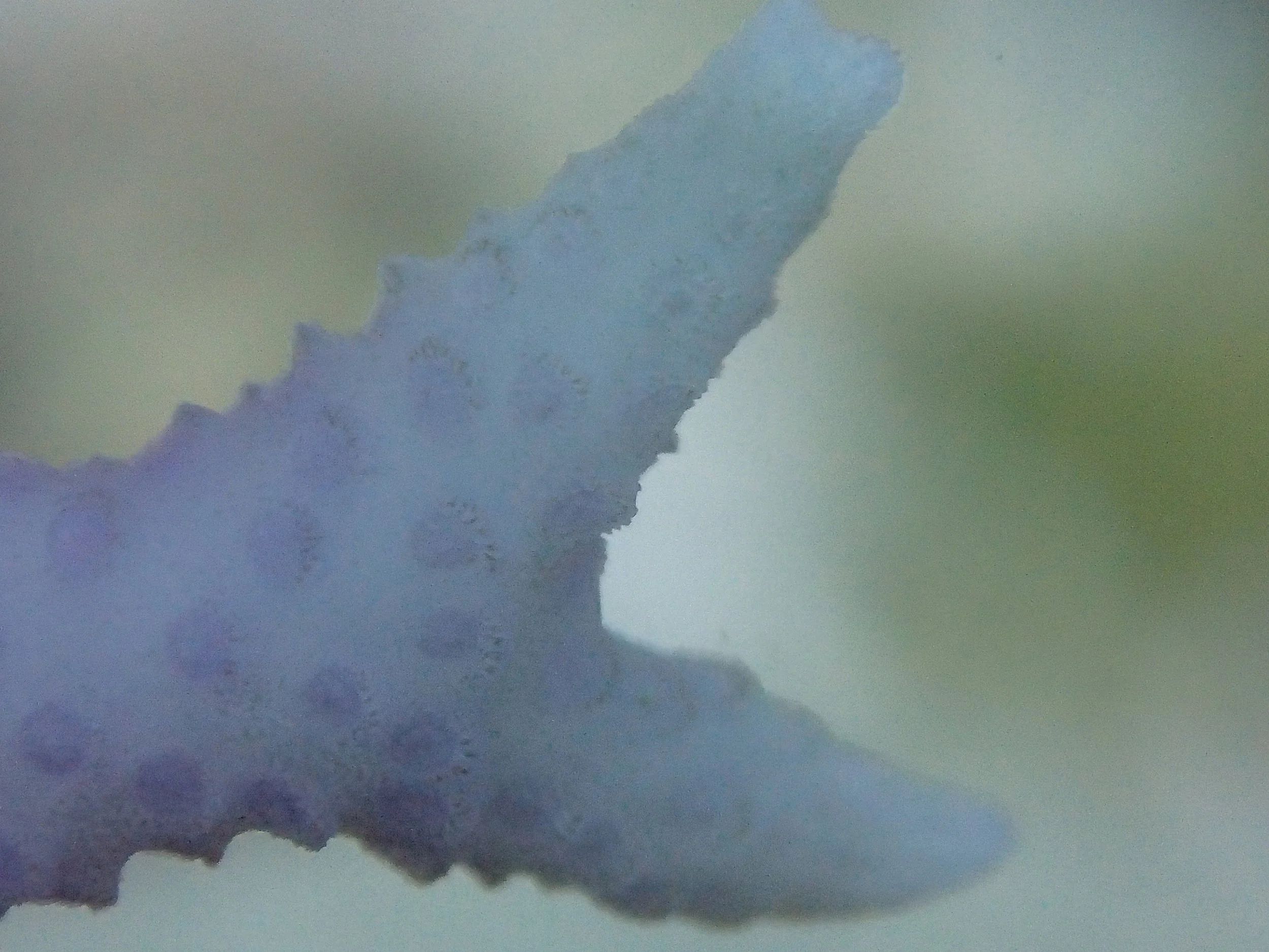PB120977.jpg