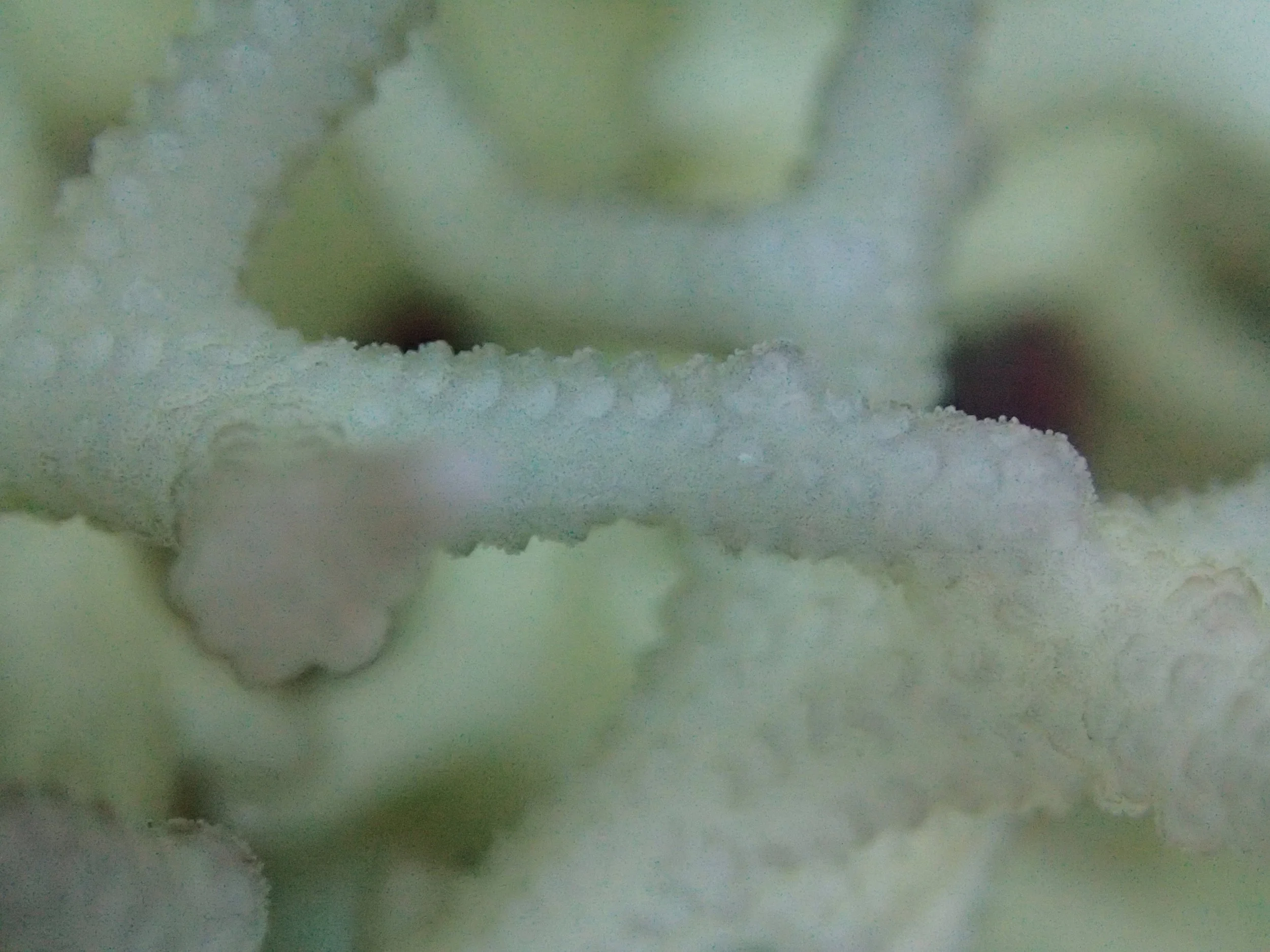 PB131047.jpg