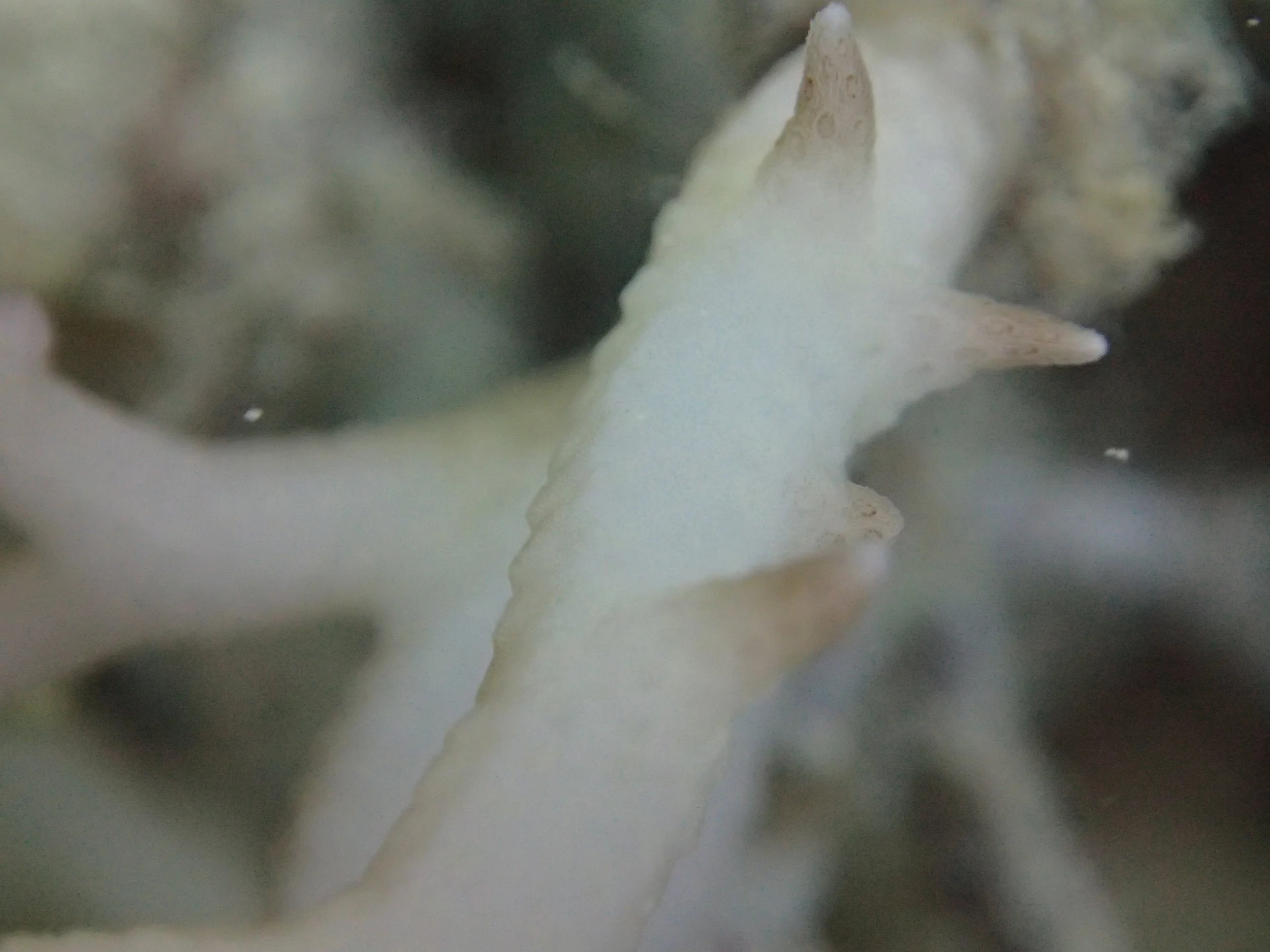 PB150933.jpg
