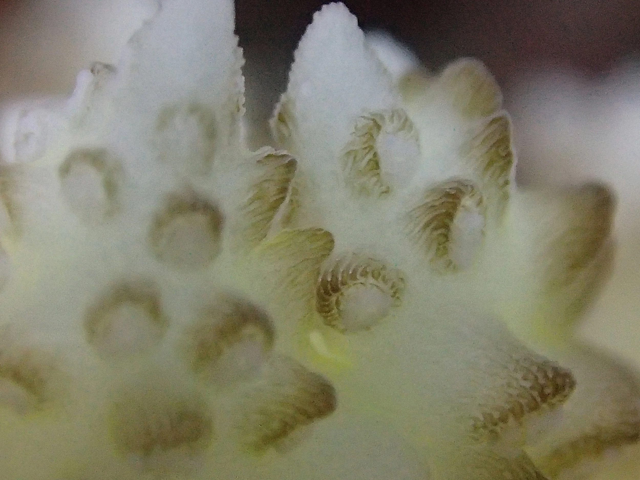 PB150995.jpg