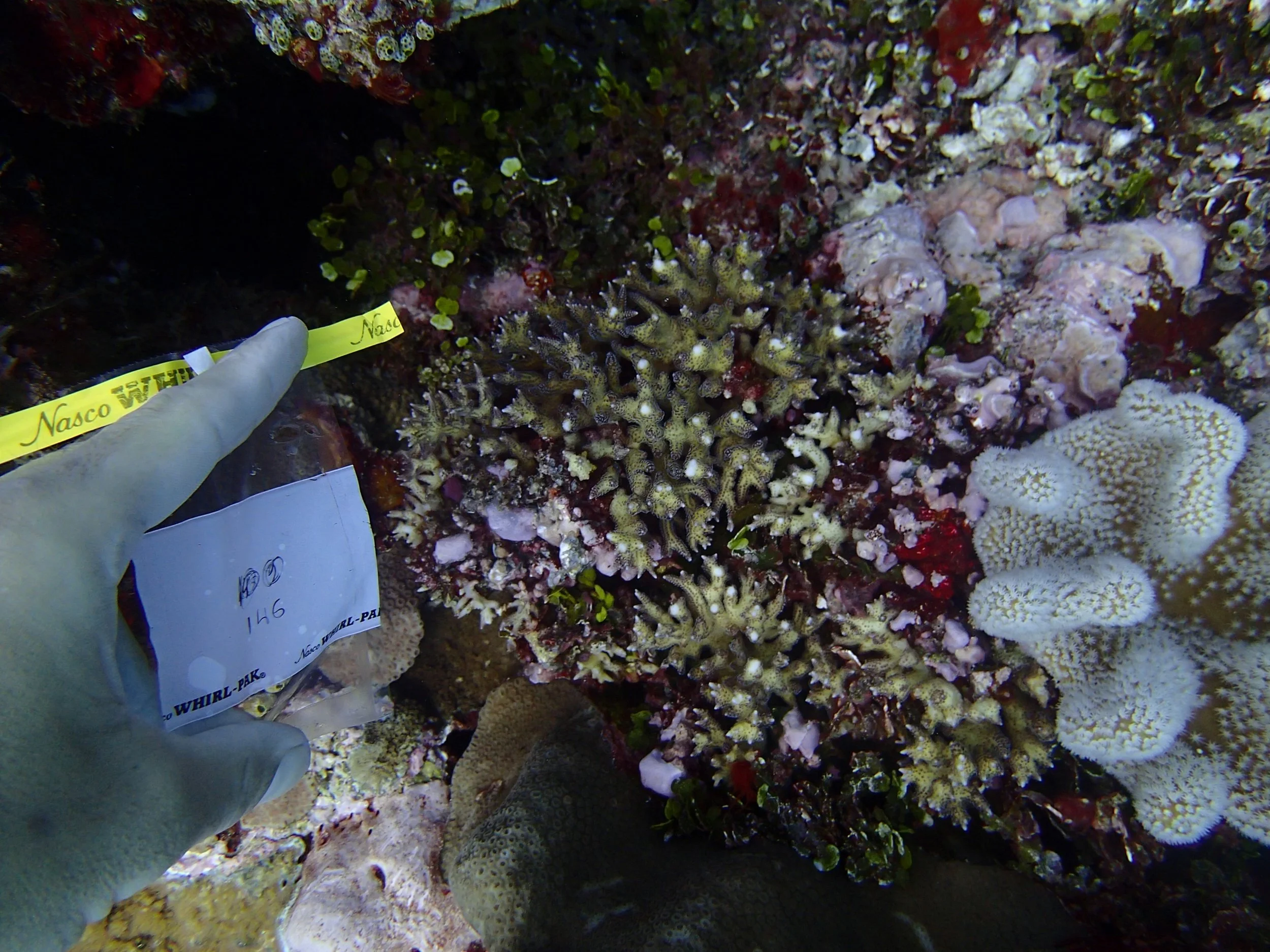 PB151002.jpg