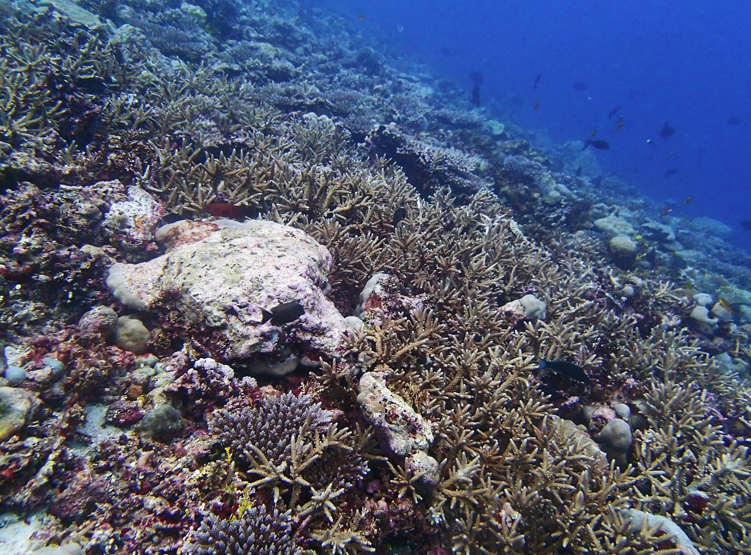 P3100288.jpg