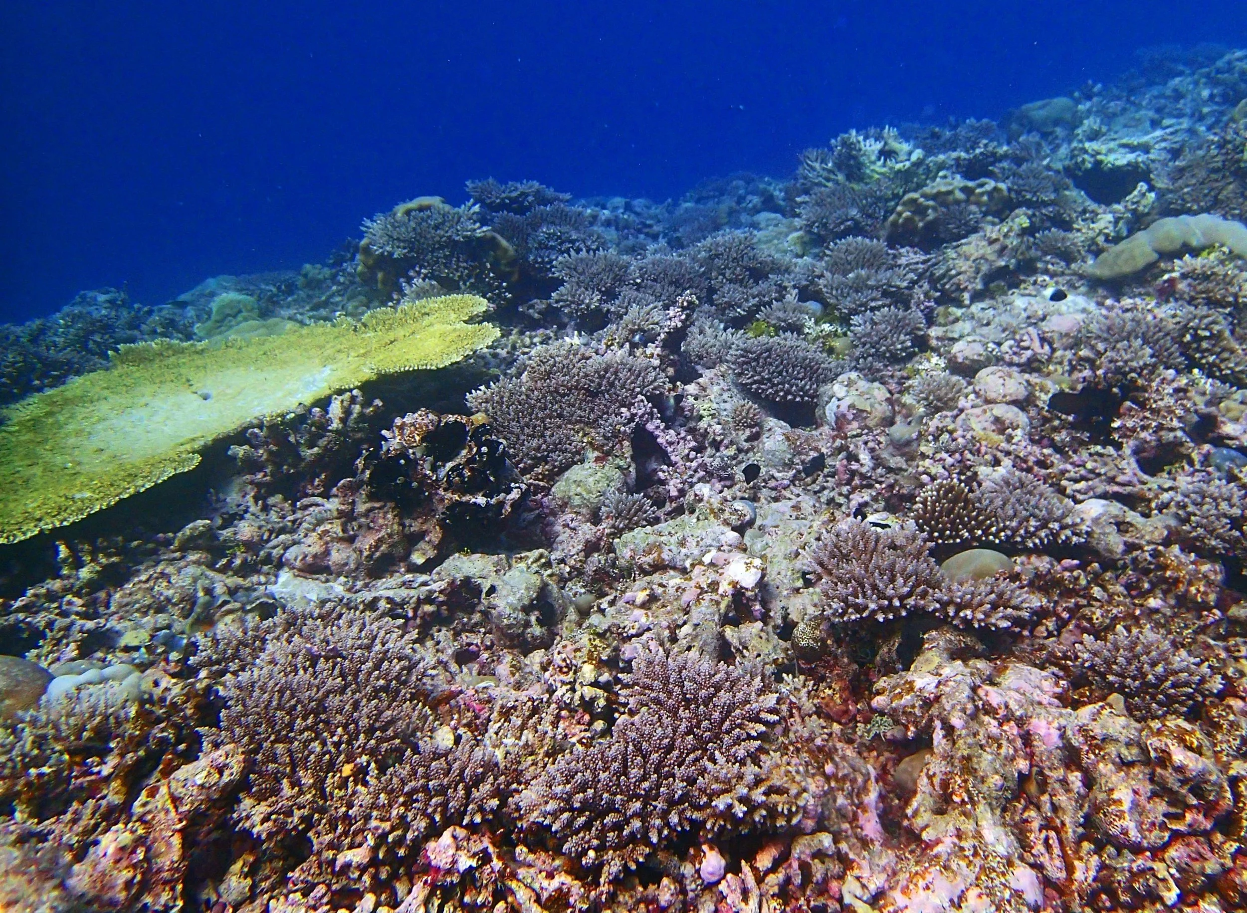 P3100404.jpg