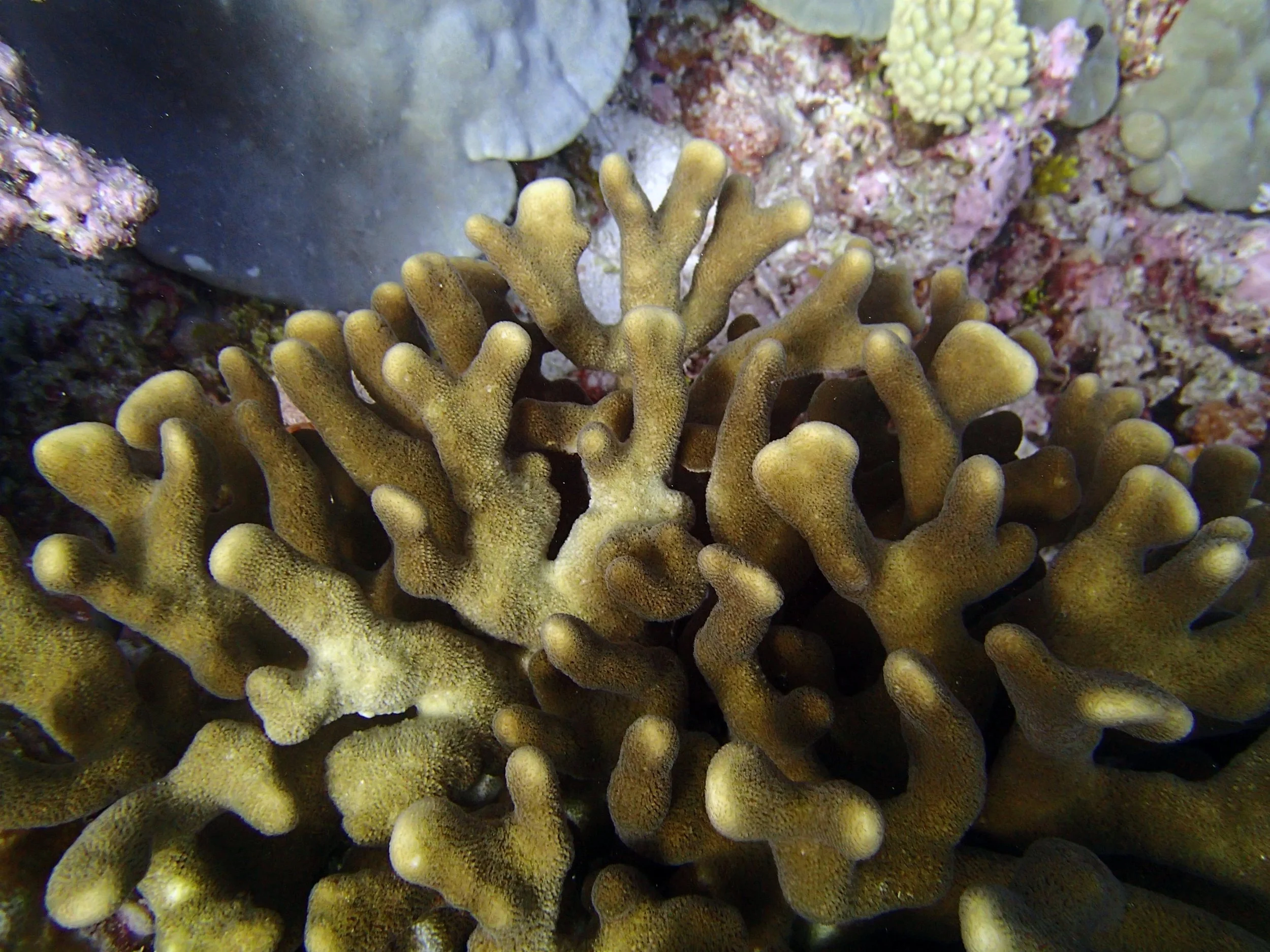 P3110420.jpg