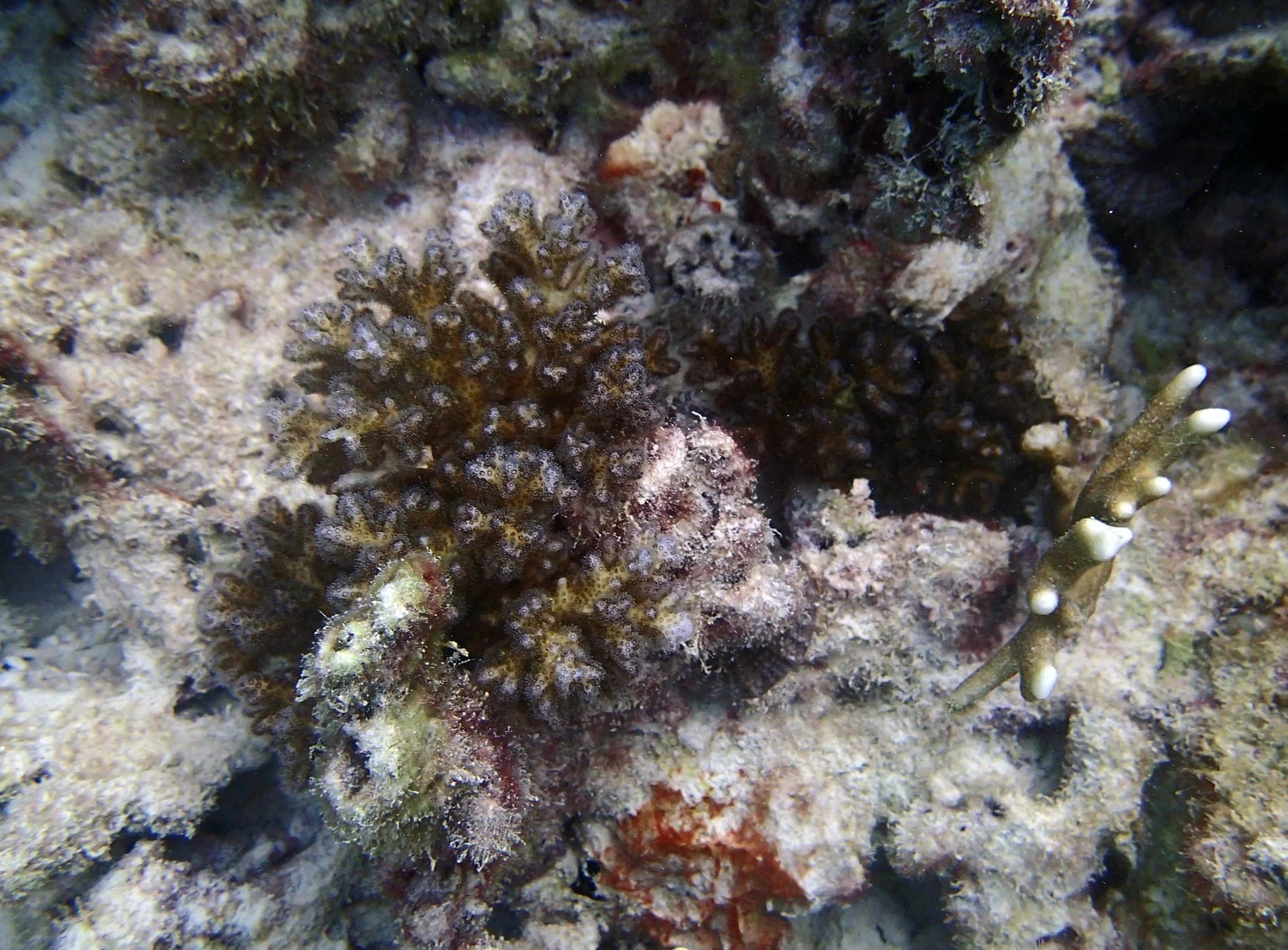 P3110283.jpg