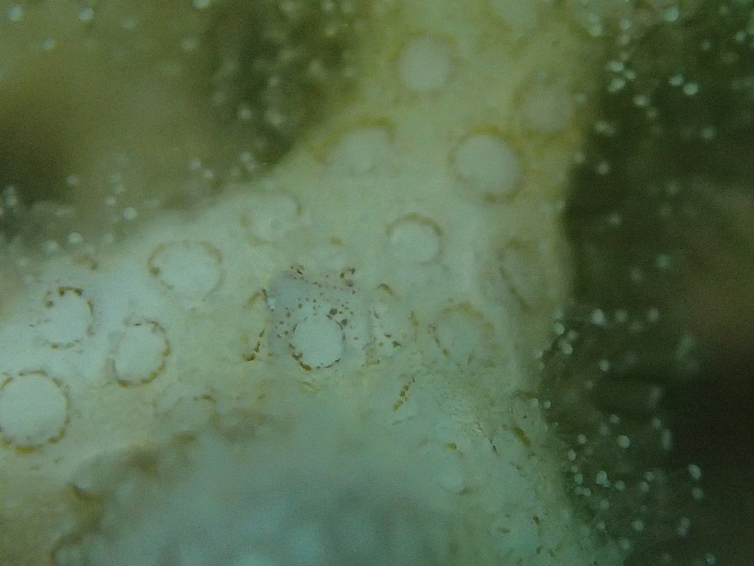 P3110251.jpg