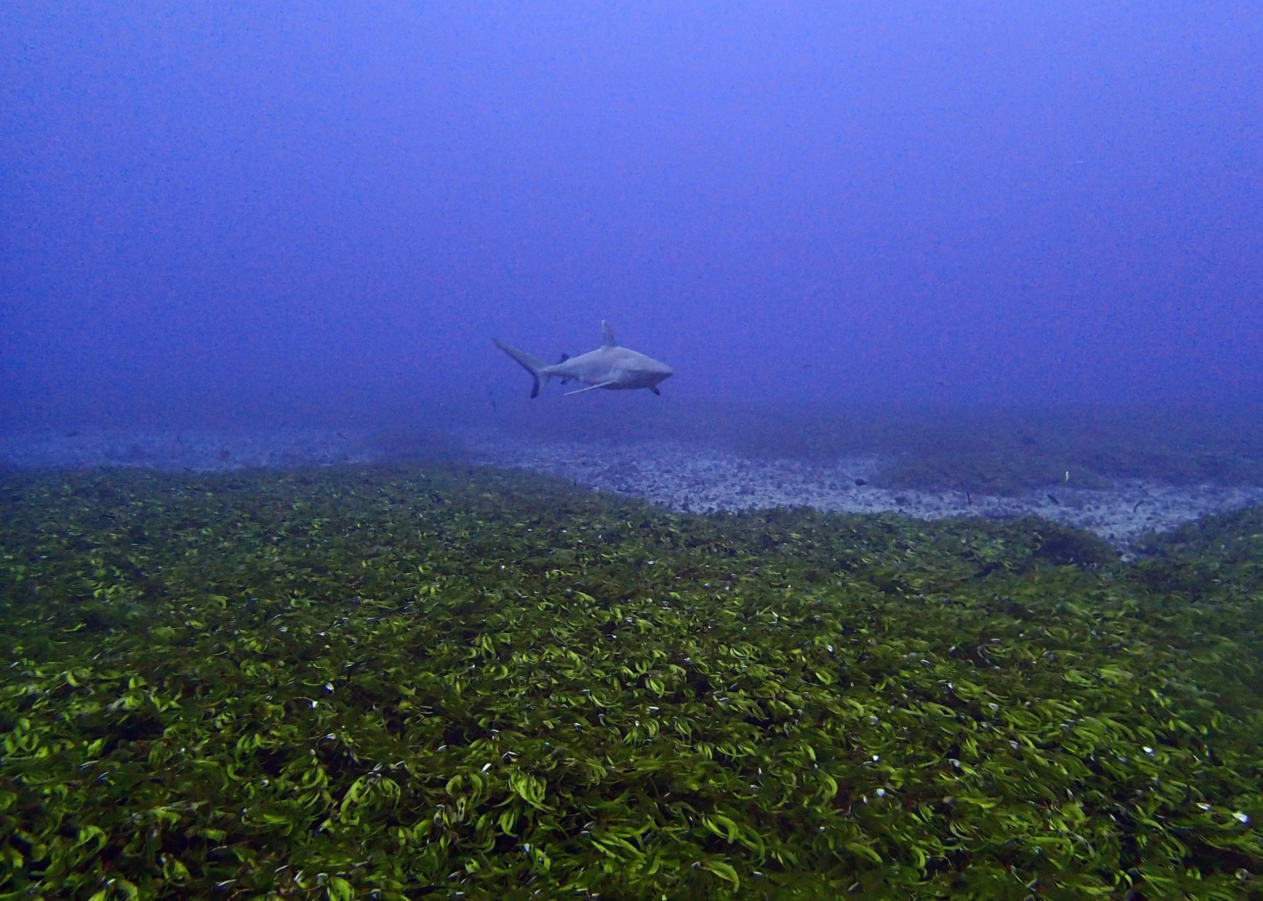 P3130344.jpg