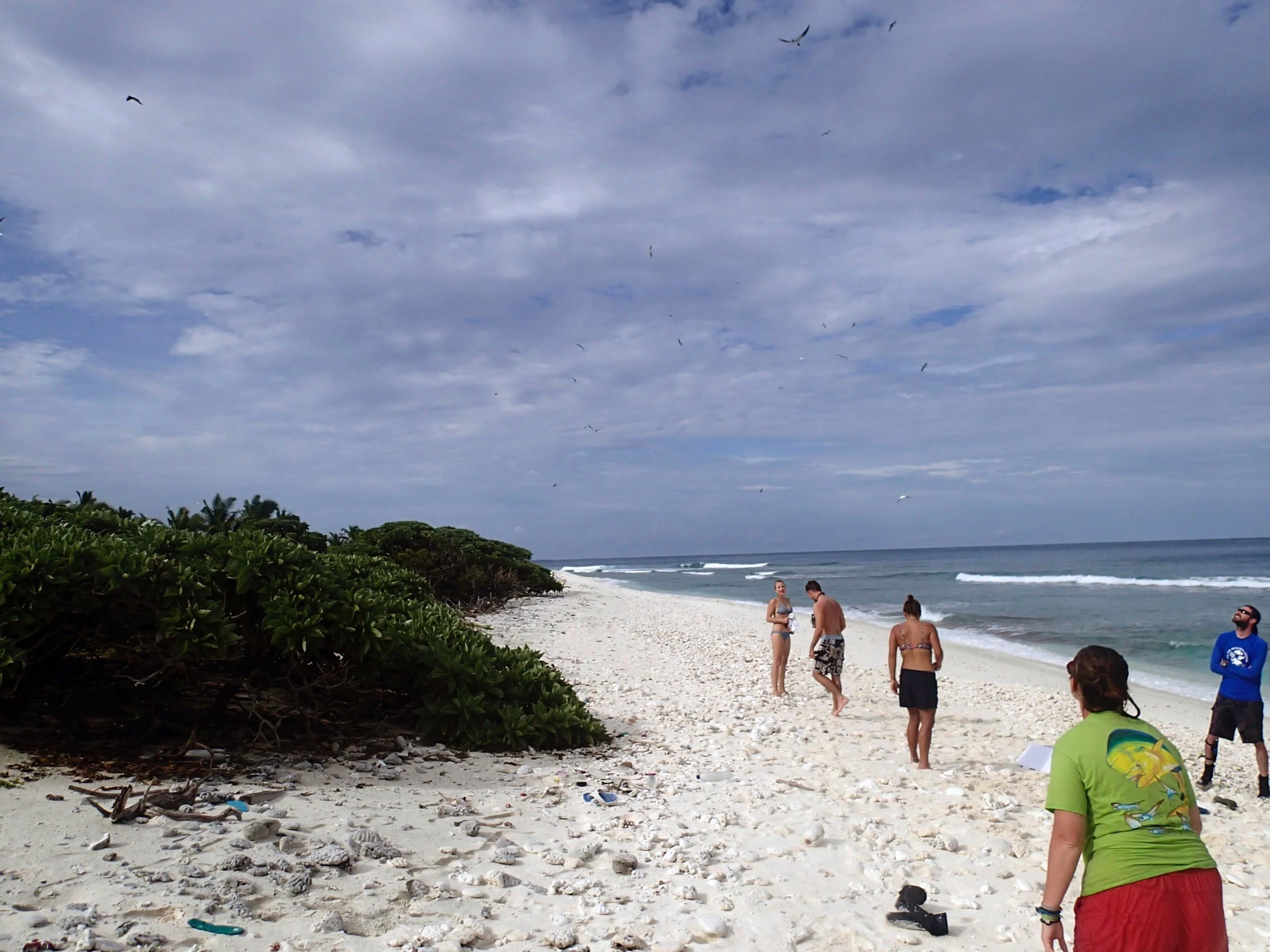 P3130282.jpg
