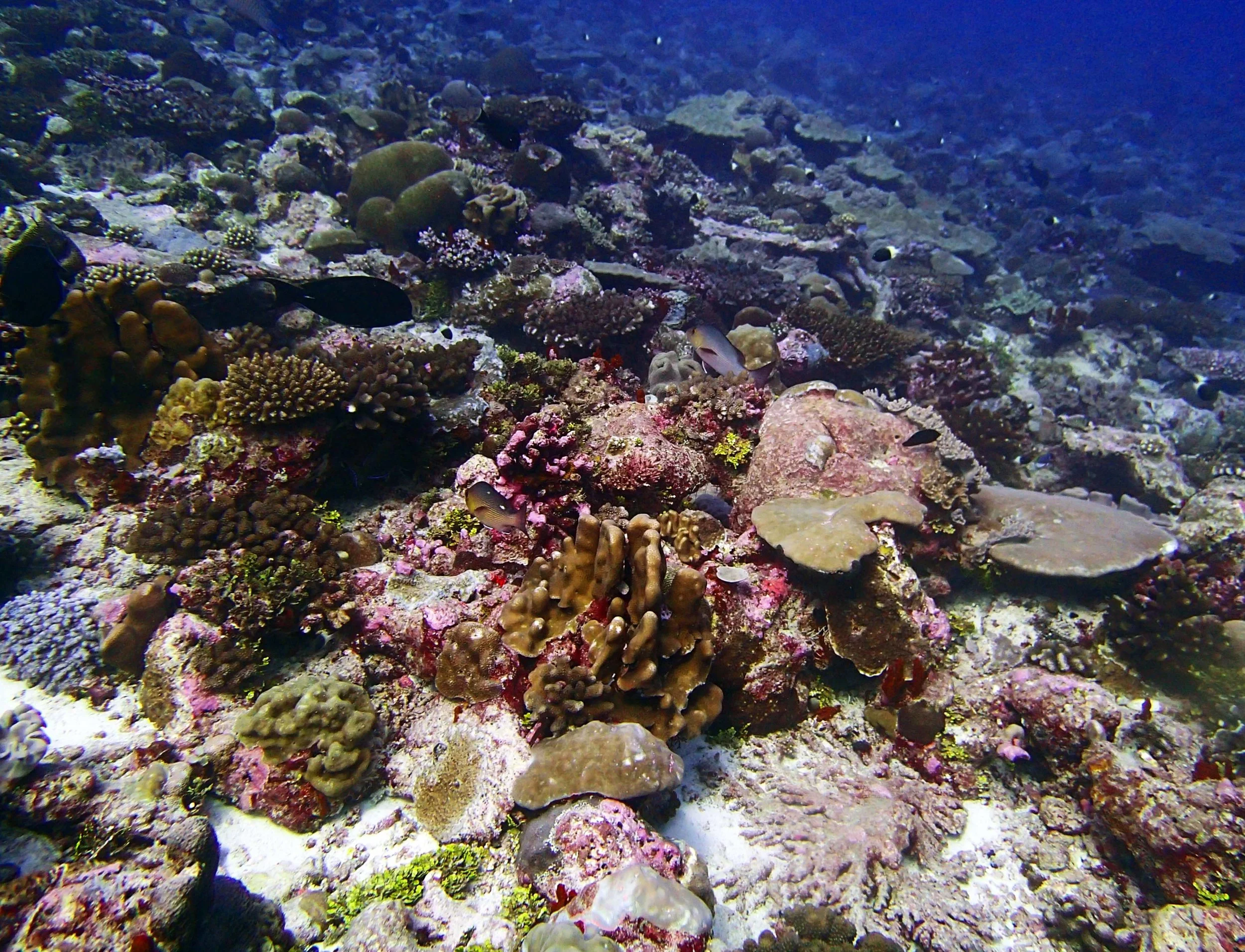 P3150327.jpg