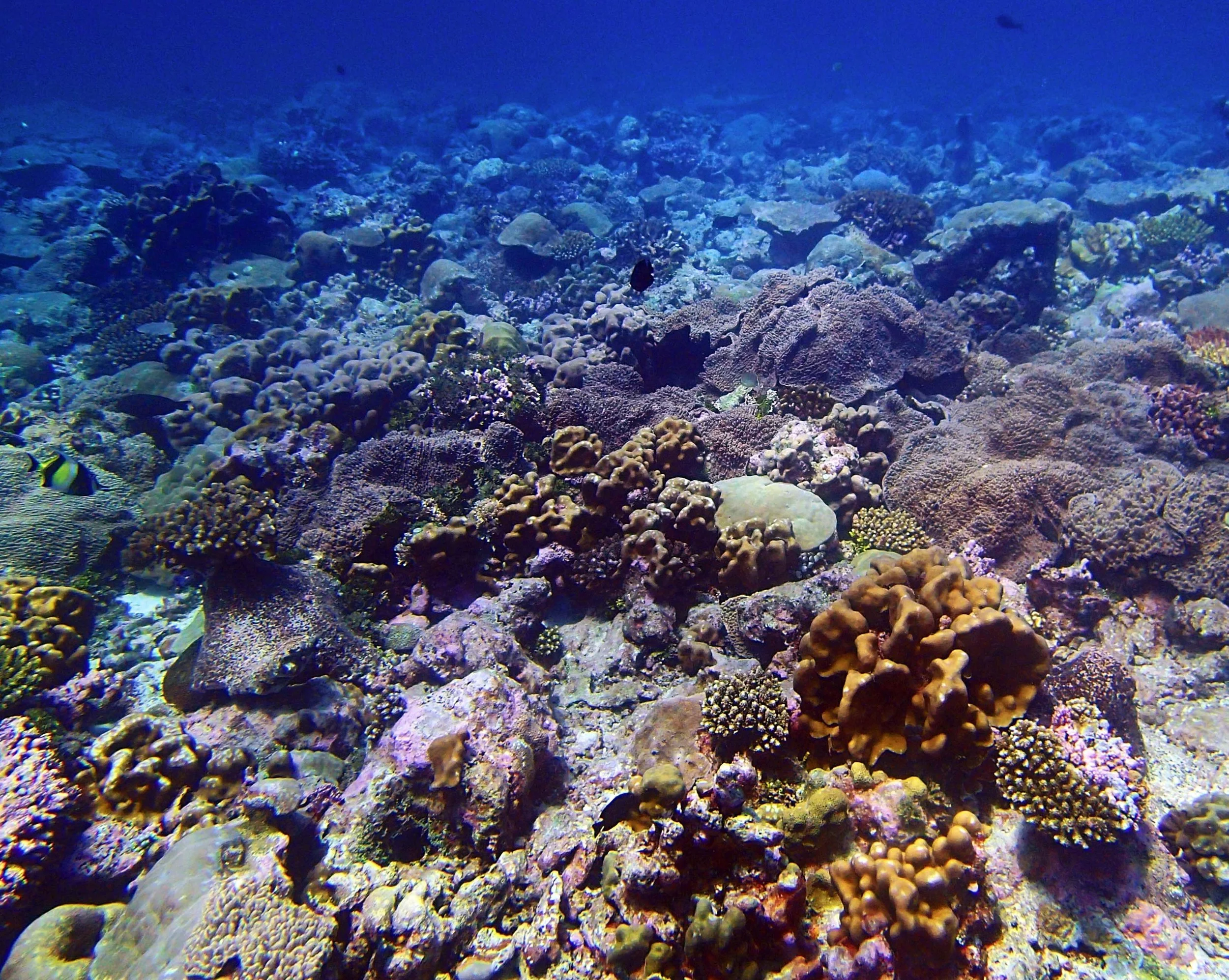P3150395.jpg