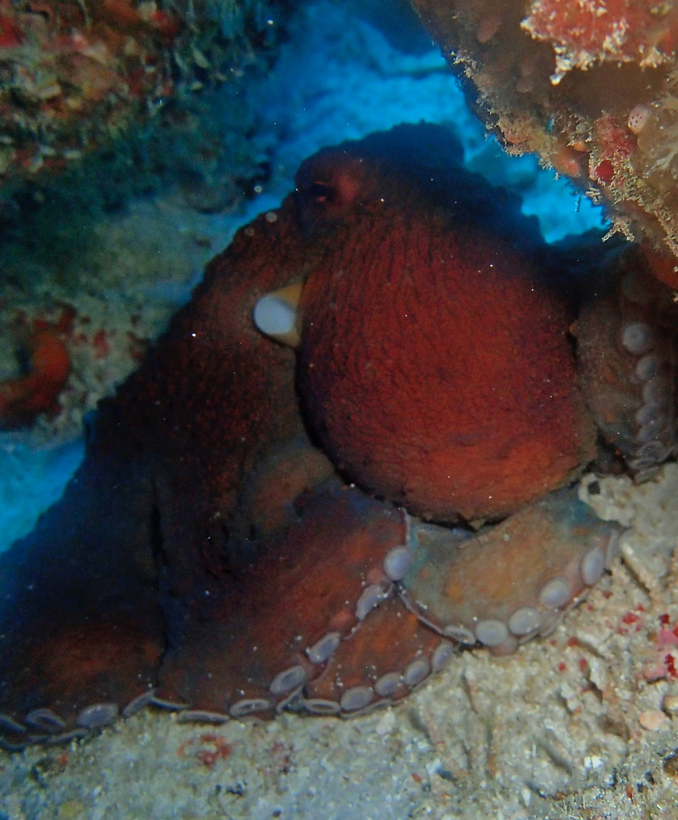 P3160361.jpg