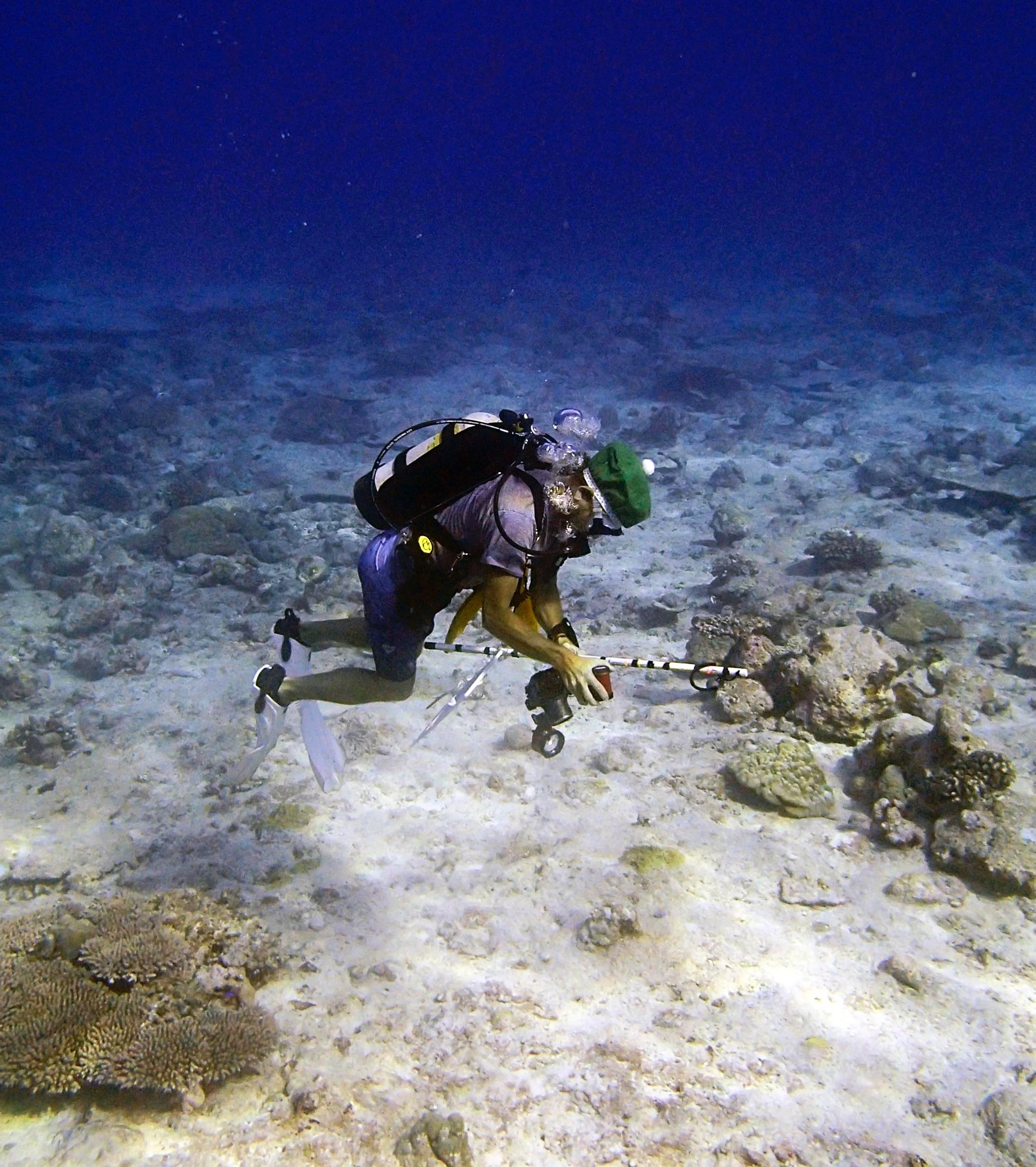 P3170386.jpg