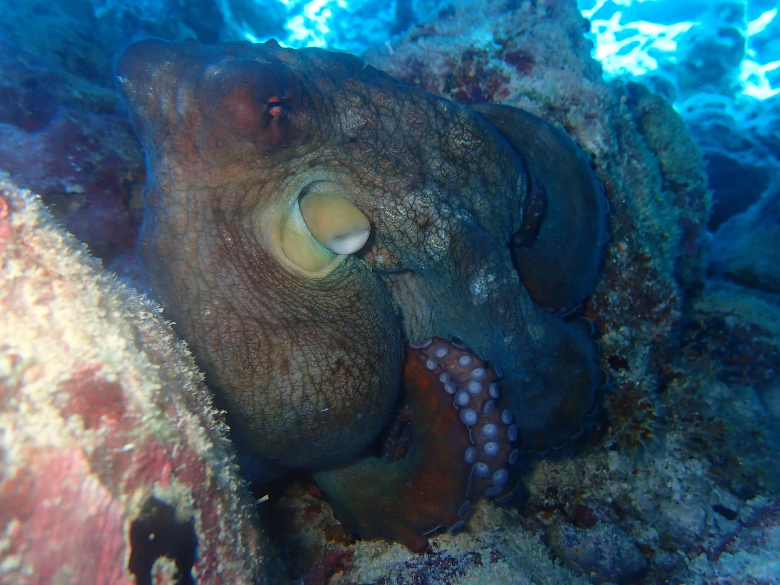 P3170418.jpg