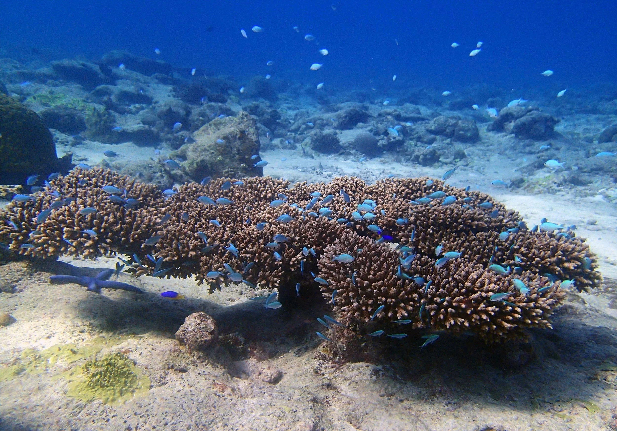 P3170434.jpg
