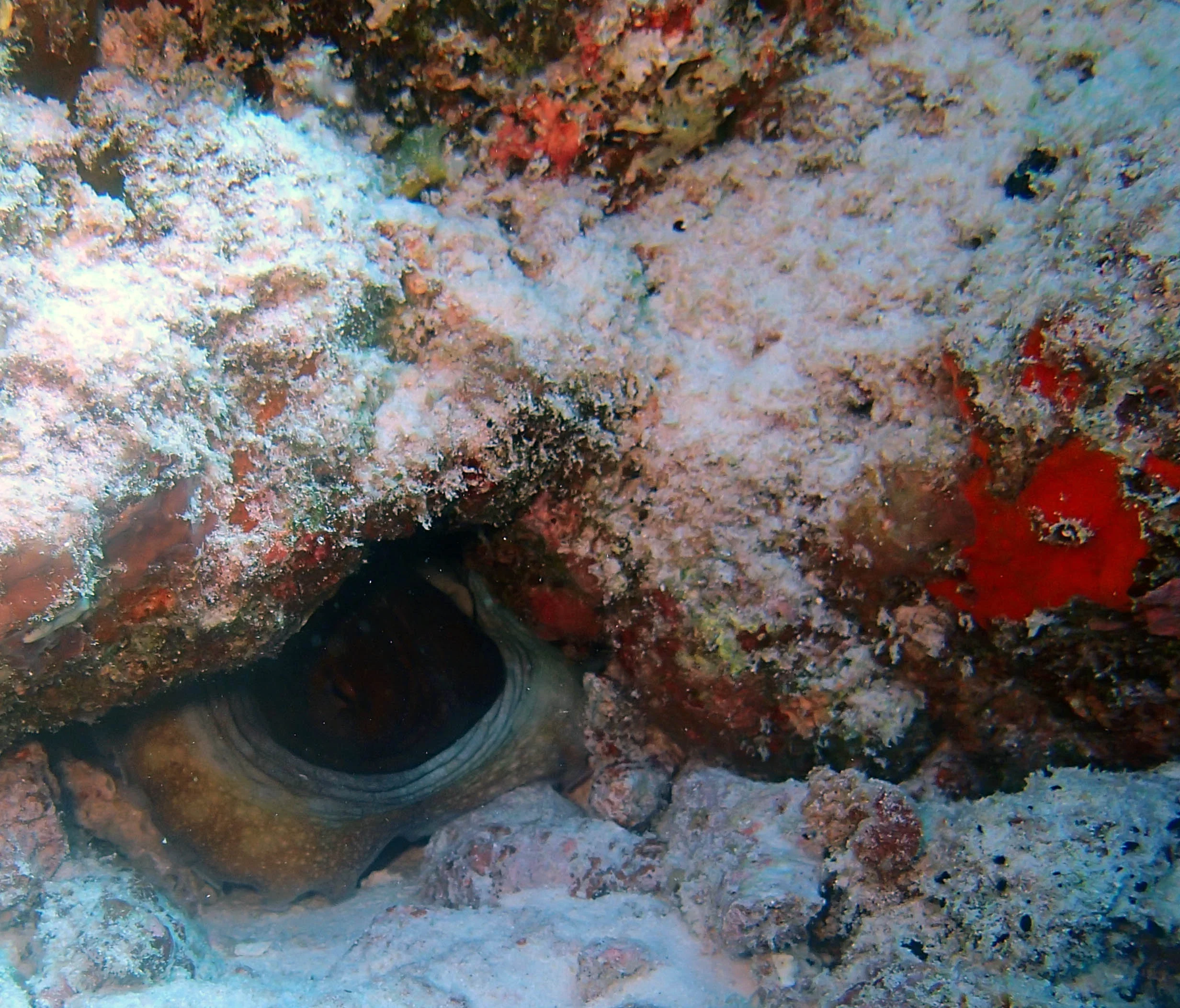 P3180443.jpg