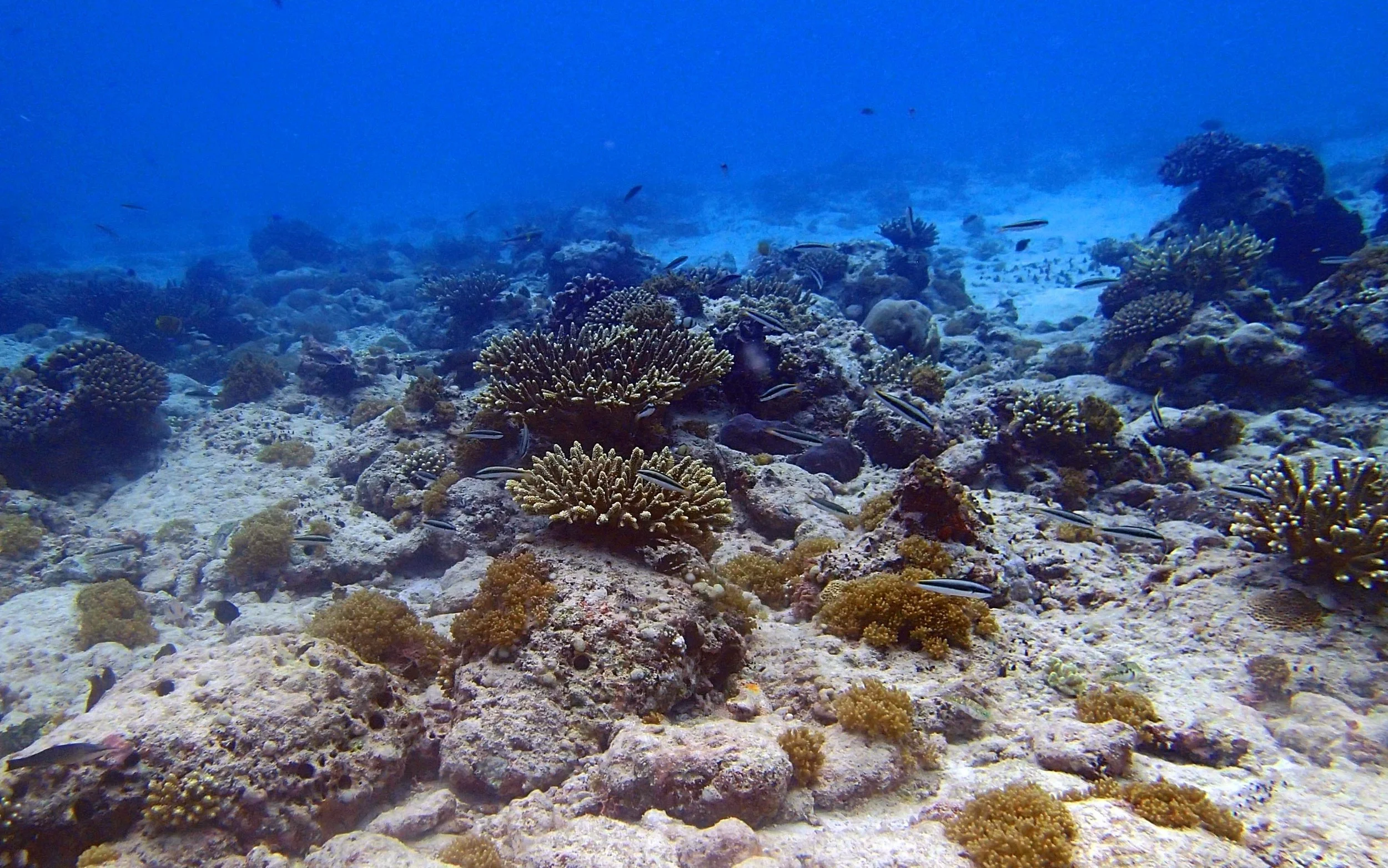 P3180451.jpg