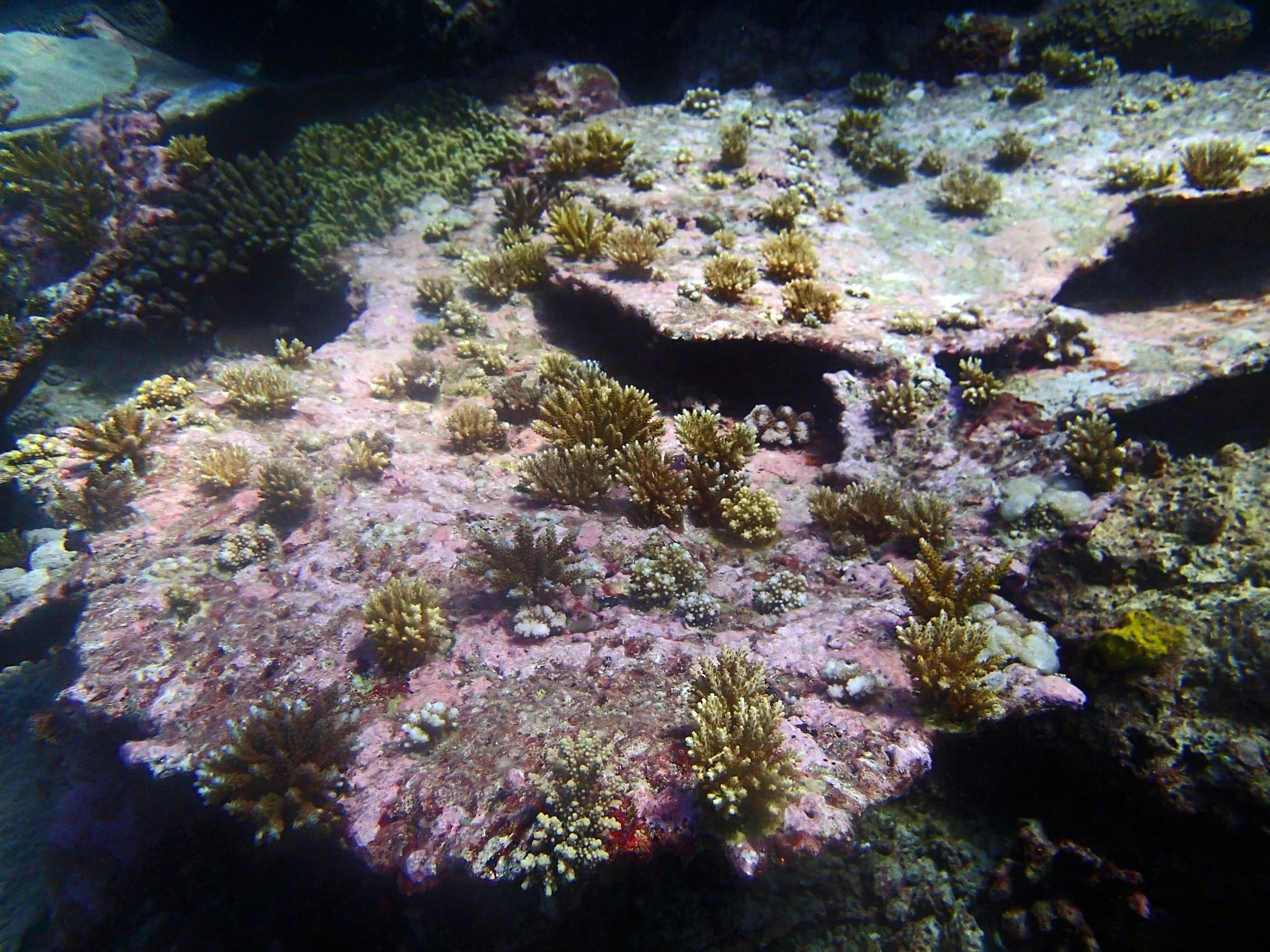 P3180467.jpg