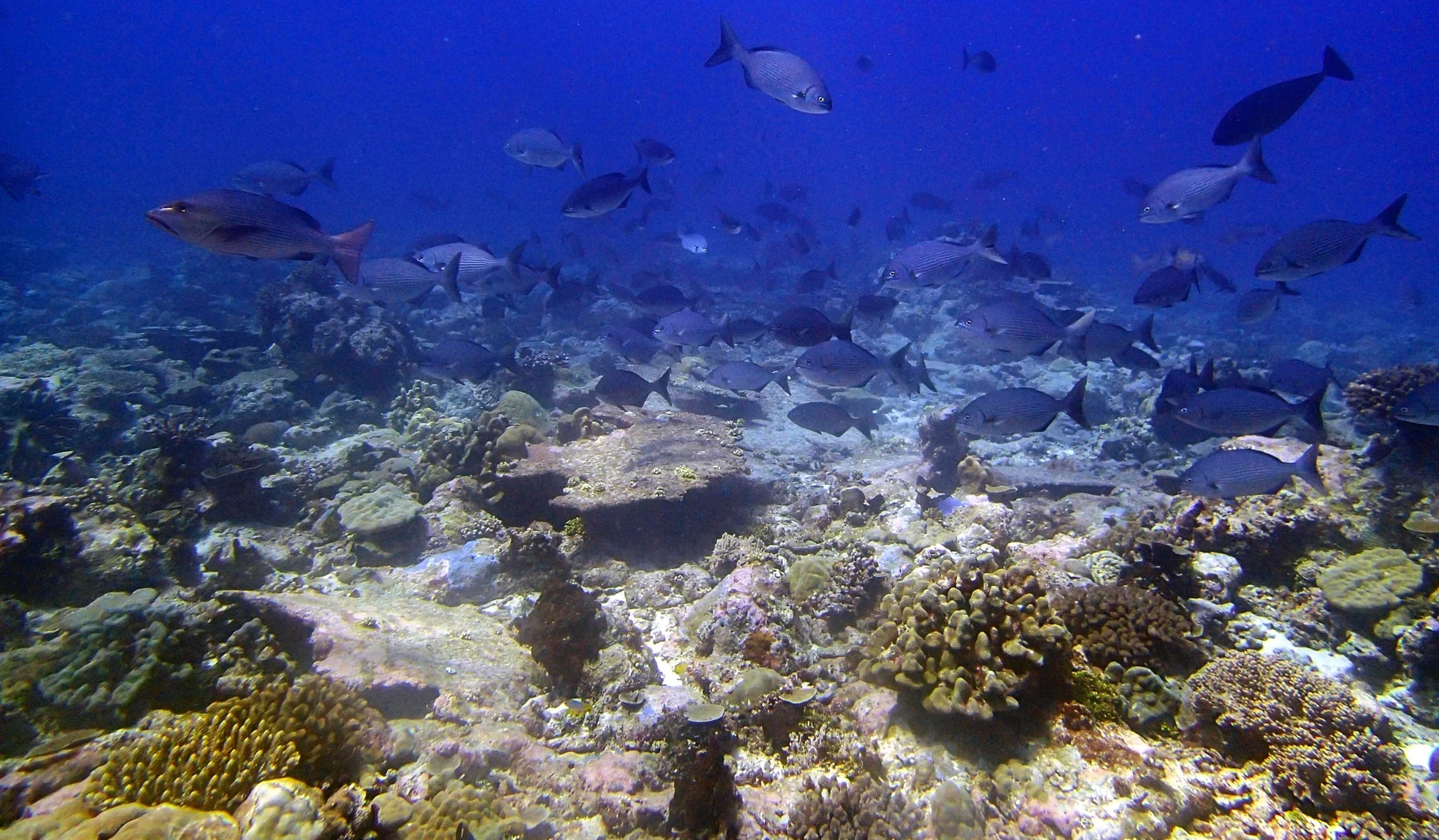 P3180517.jpg
