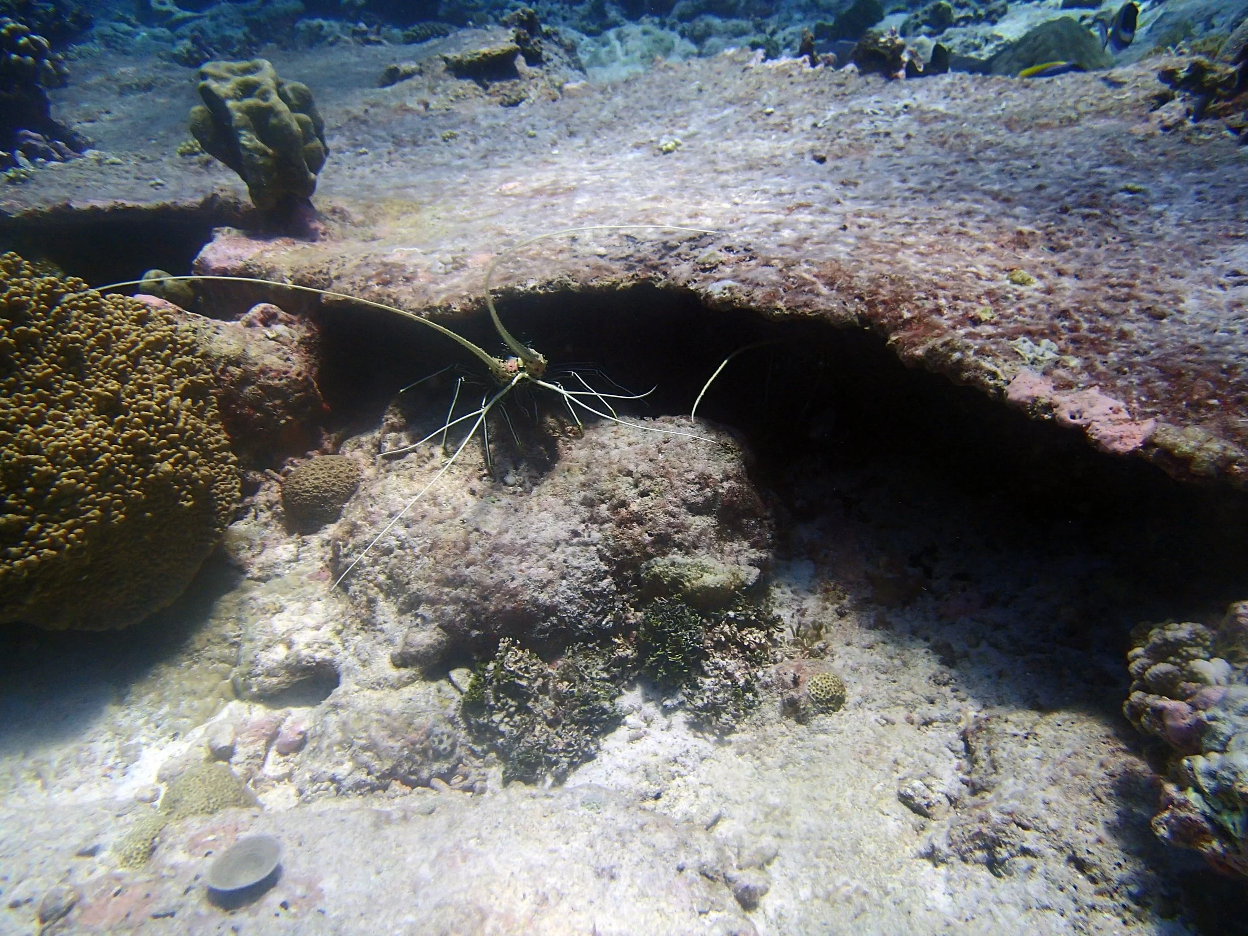 P3180544.jpg