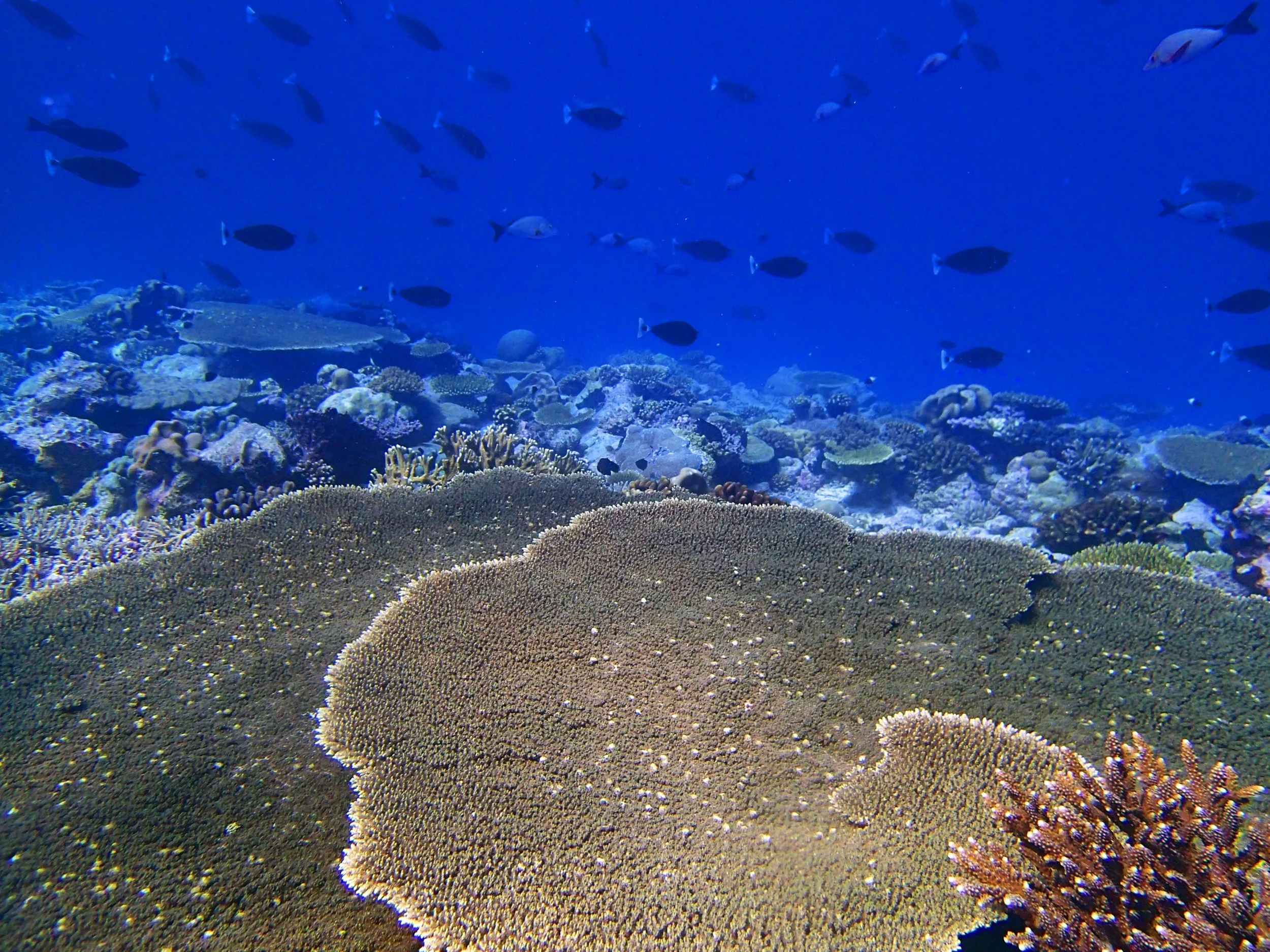 P3180452.jpg