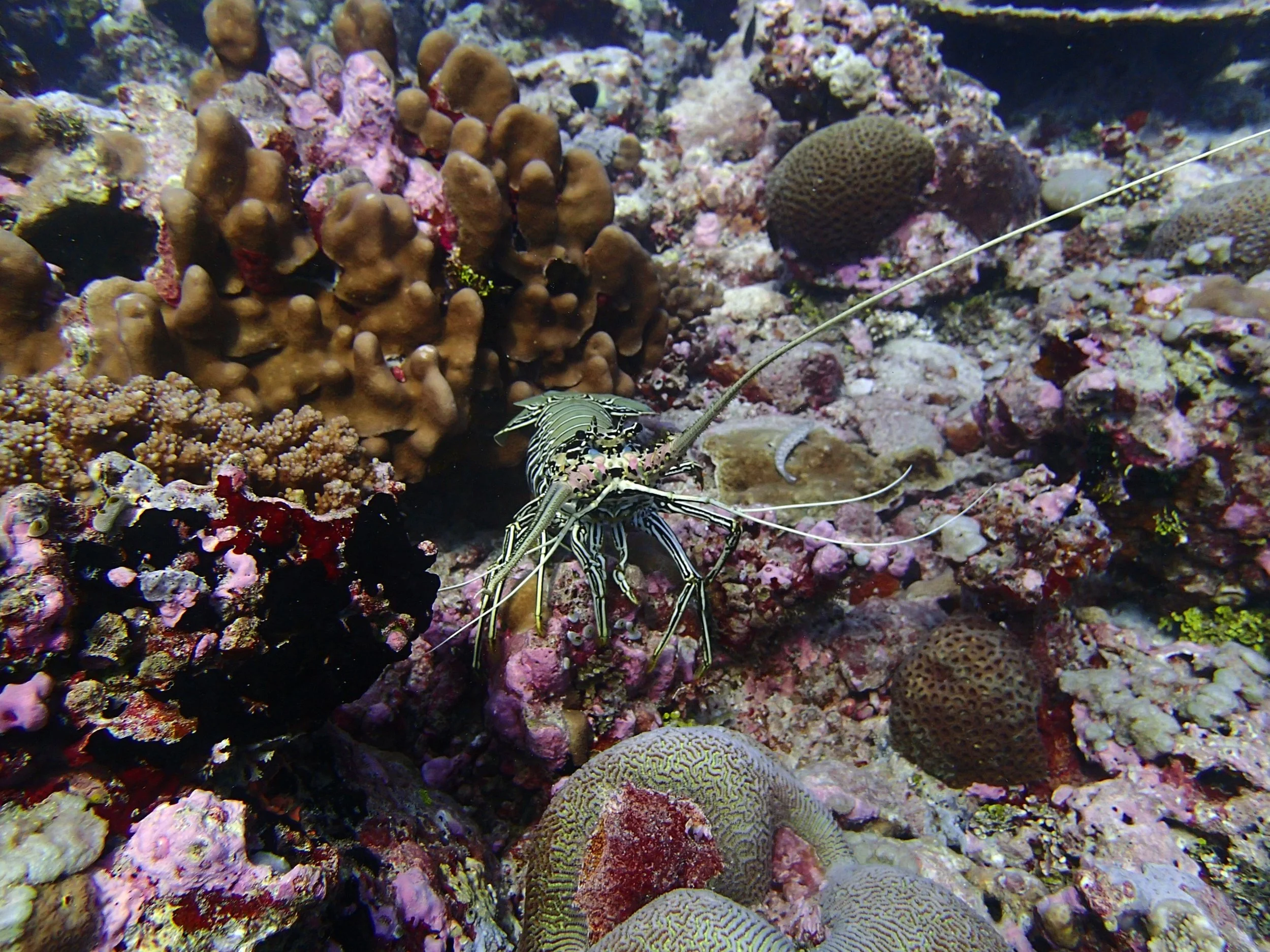 P3190441.jpg