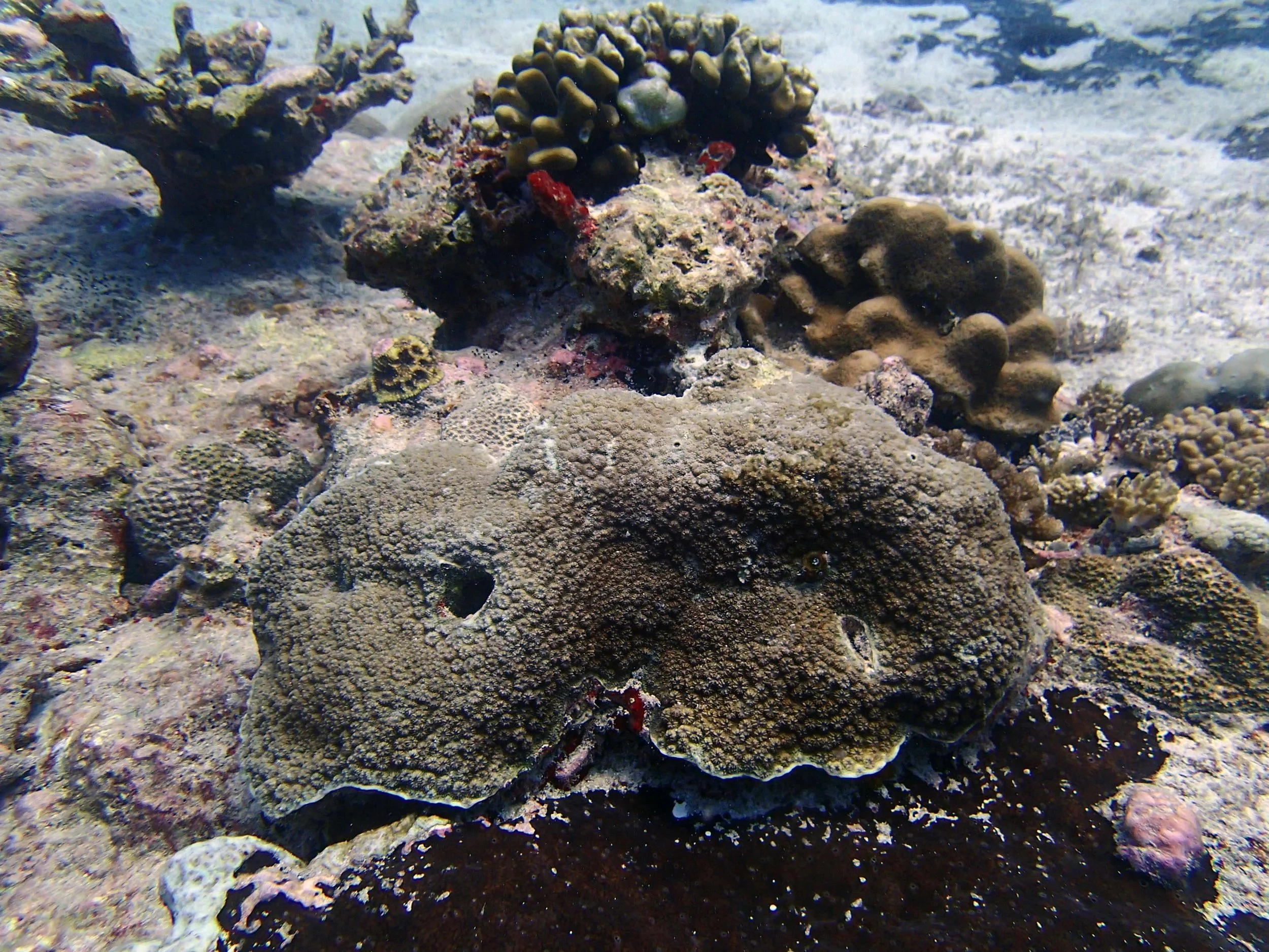 P3190488.jpg