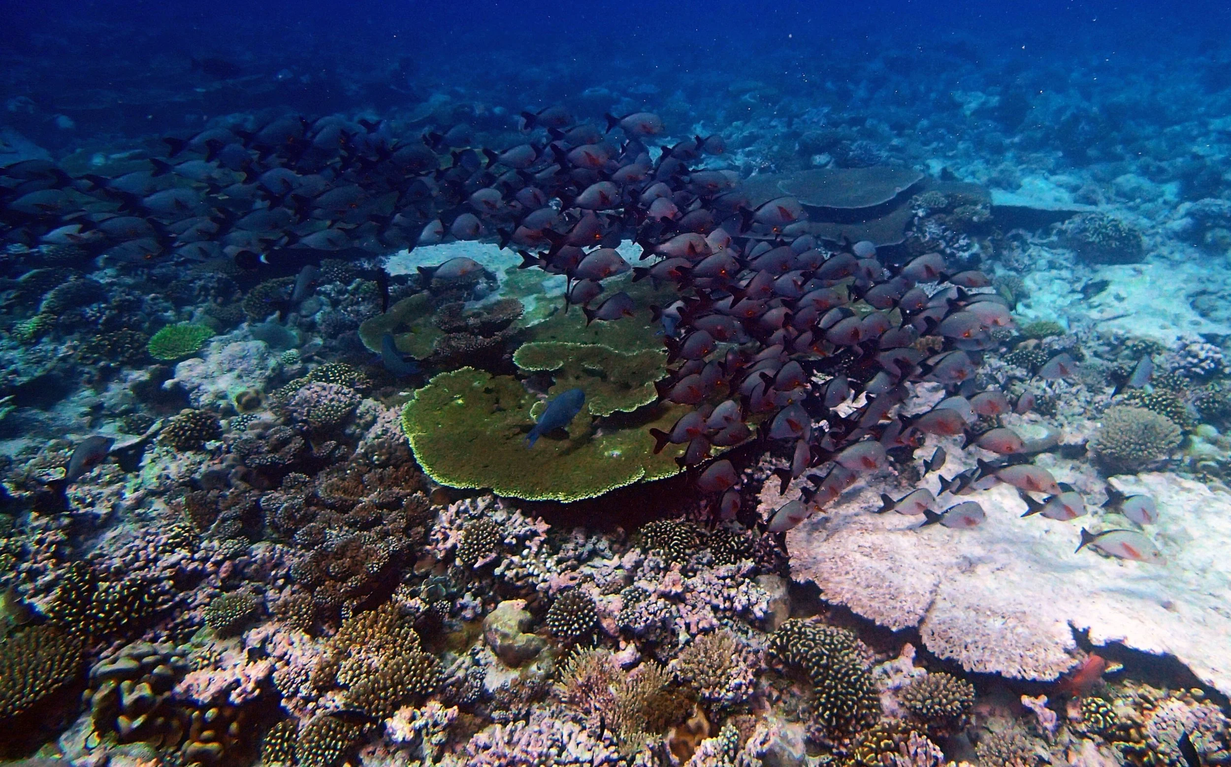 P3190468.jpg