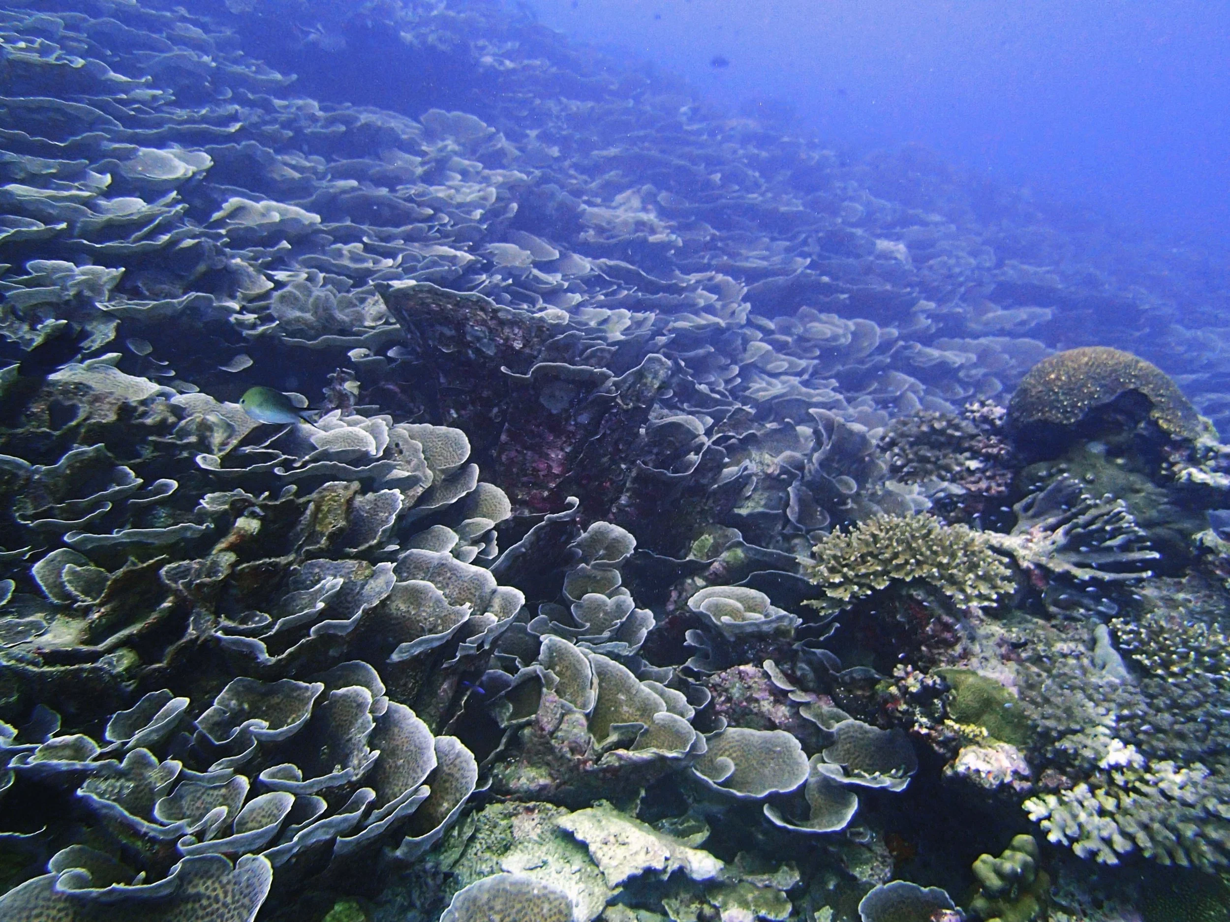 P3210417.jpg