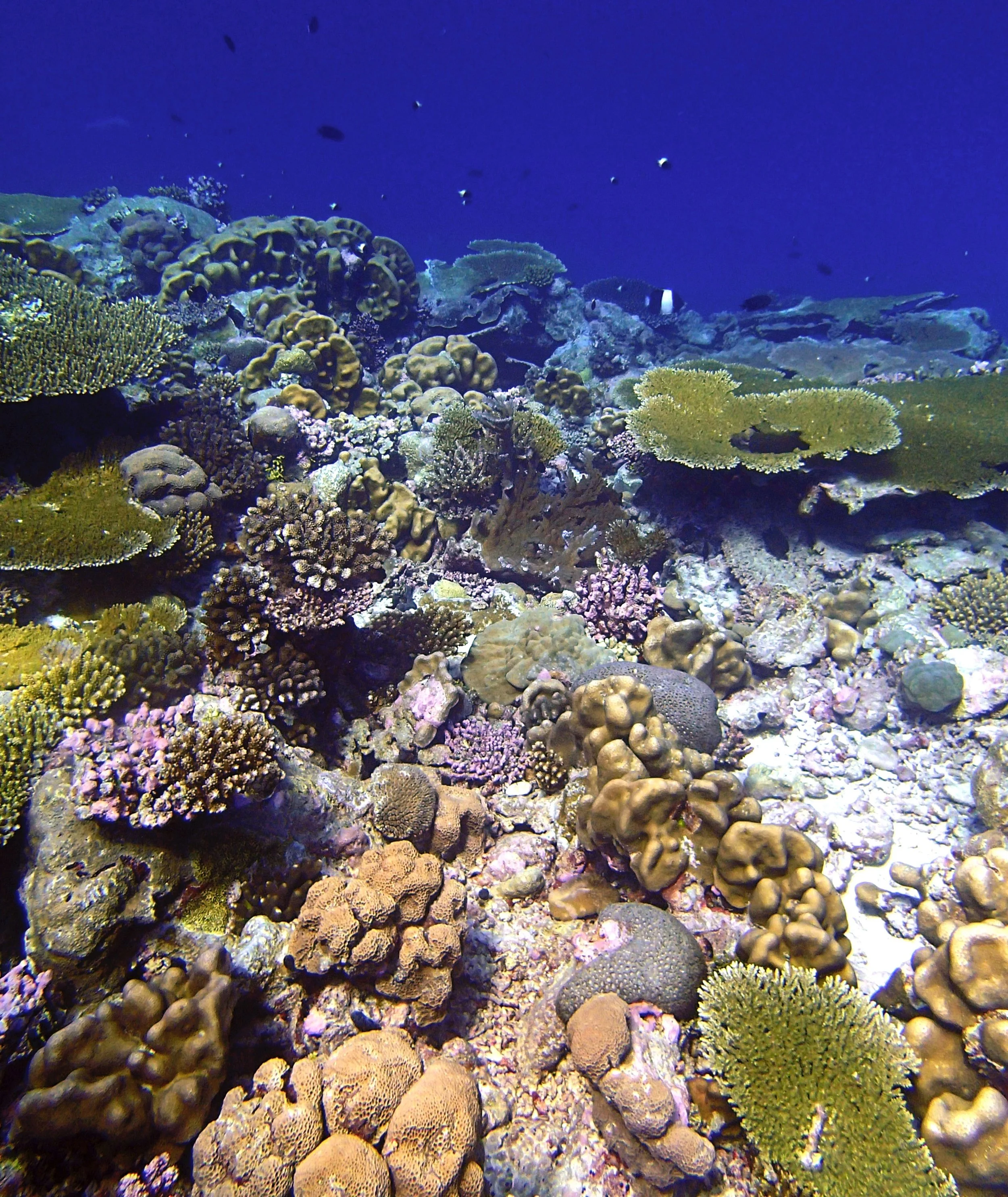 P3210539.jpg