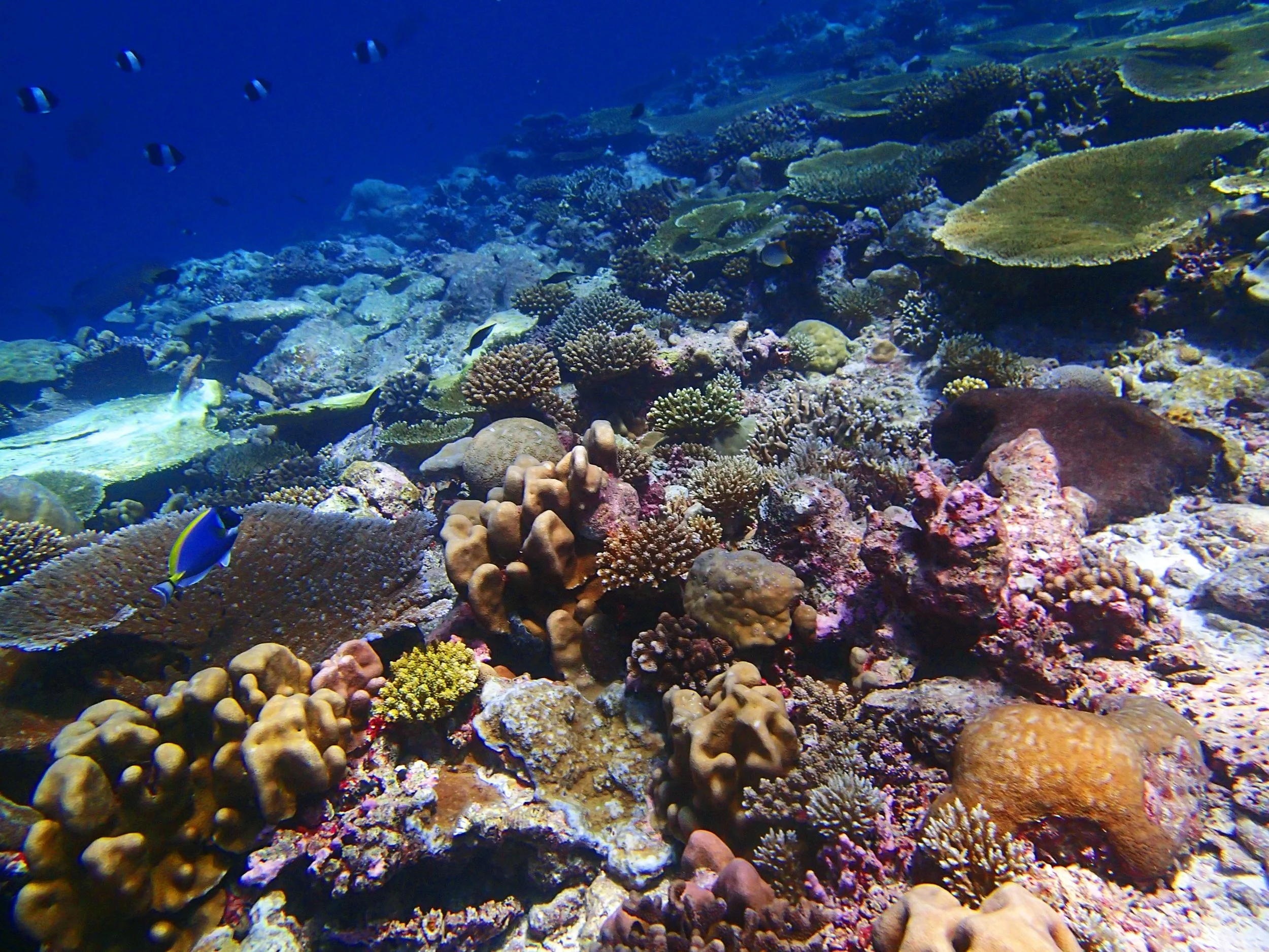 P3210564.jpg