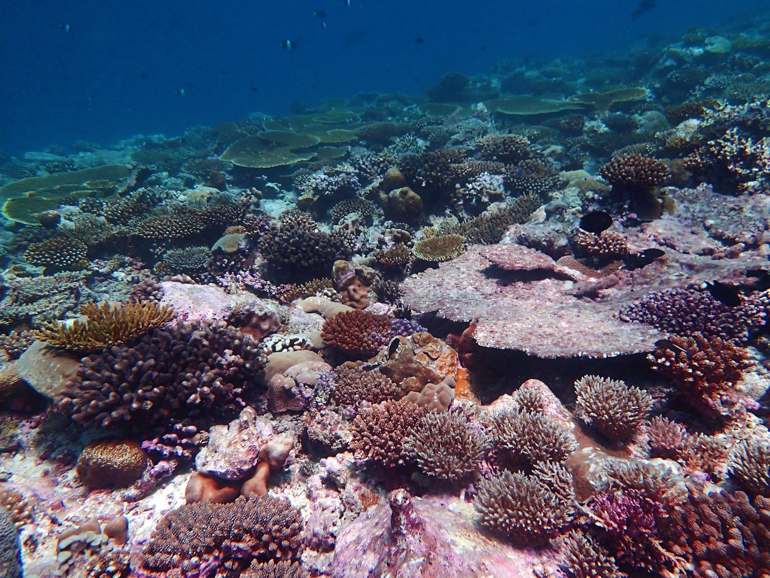 P3210569.jpg