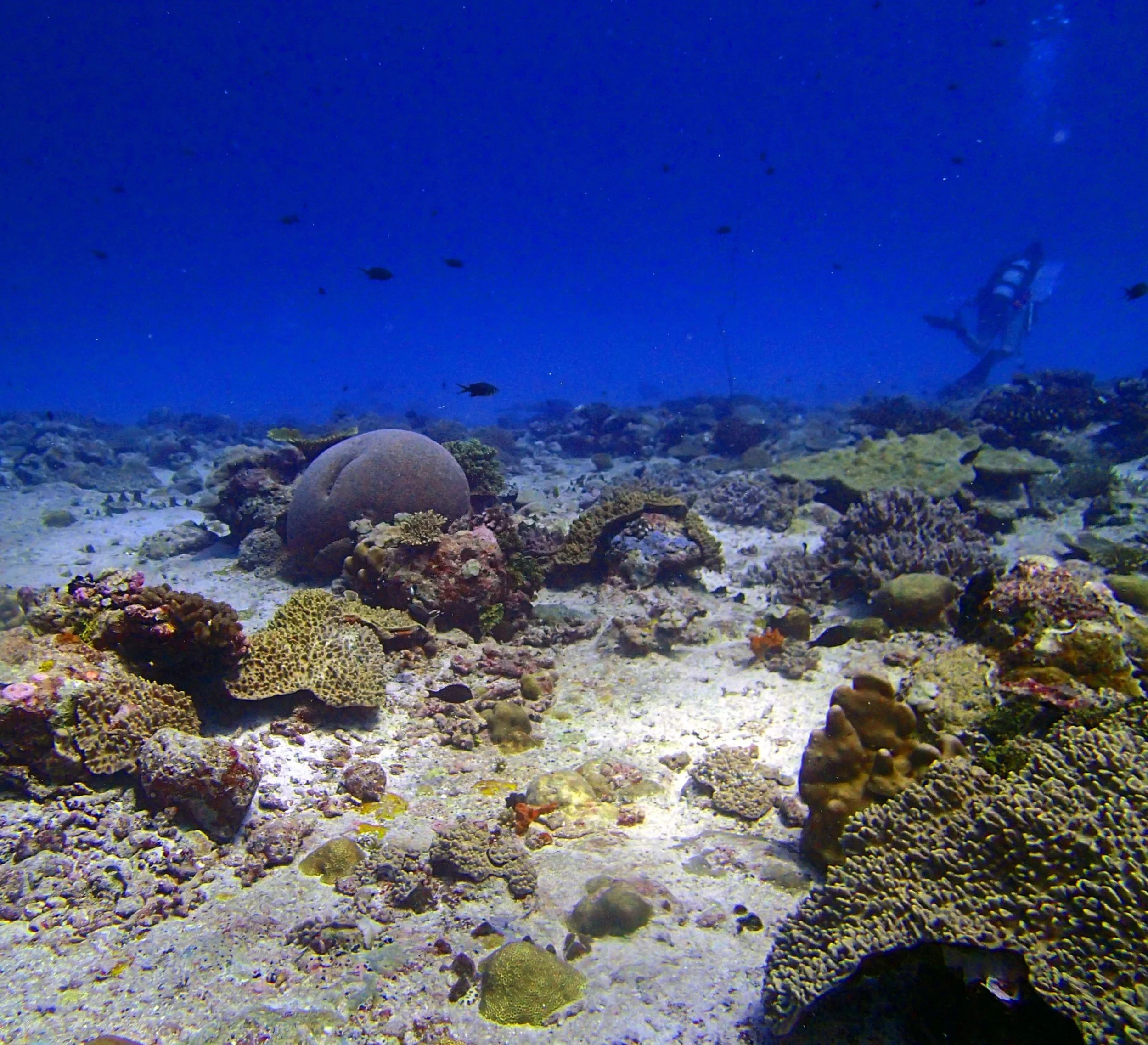 P3220427.jpg
