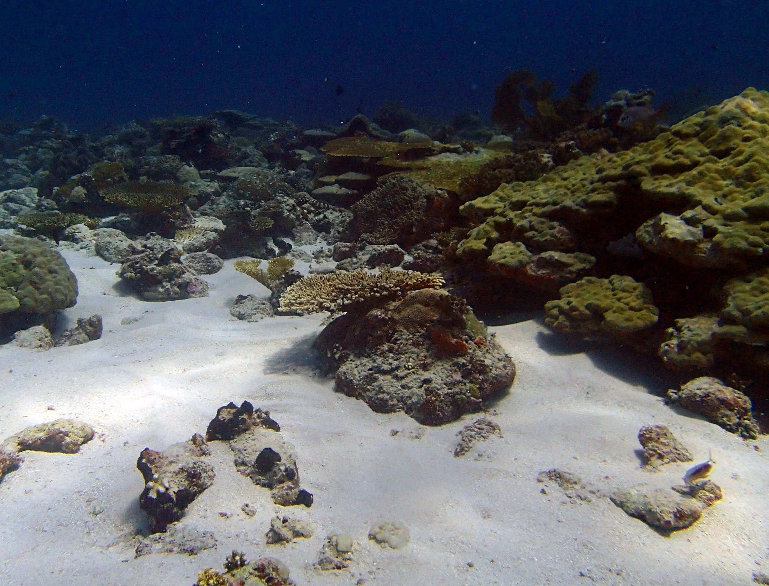 P3220462.jpg
