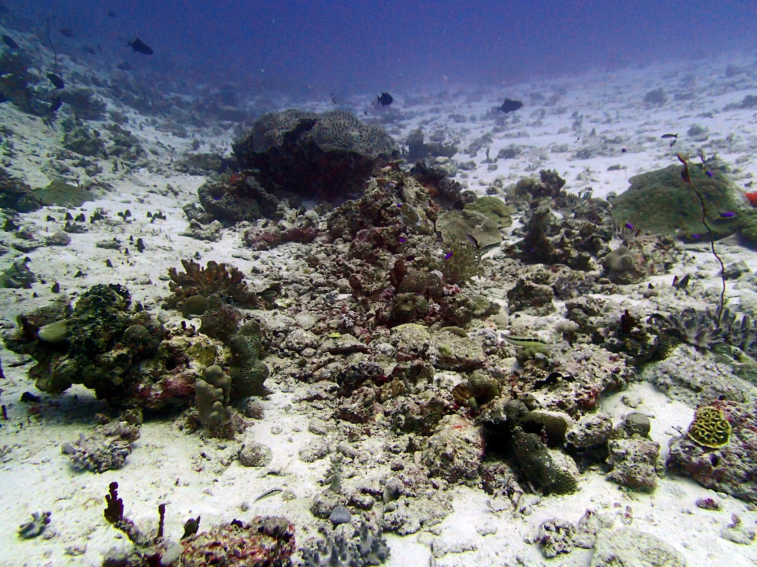 P3220386.jpg