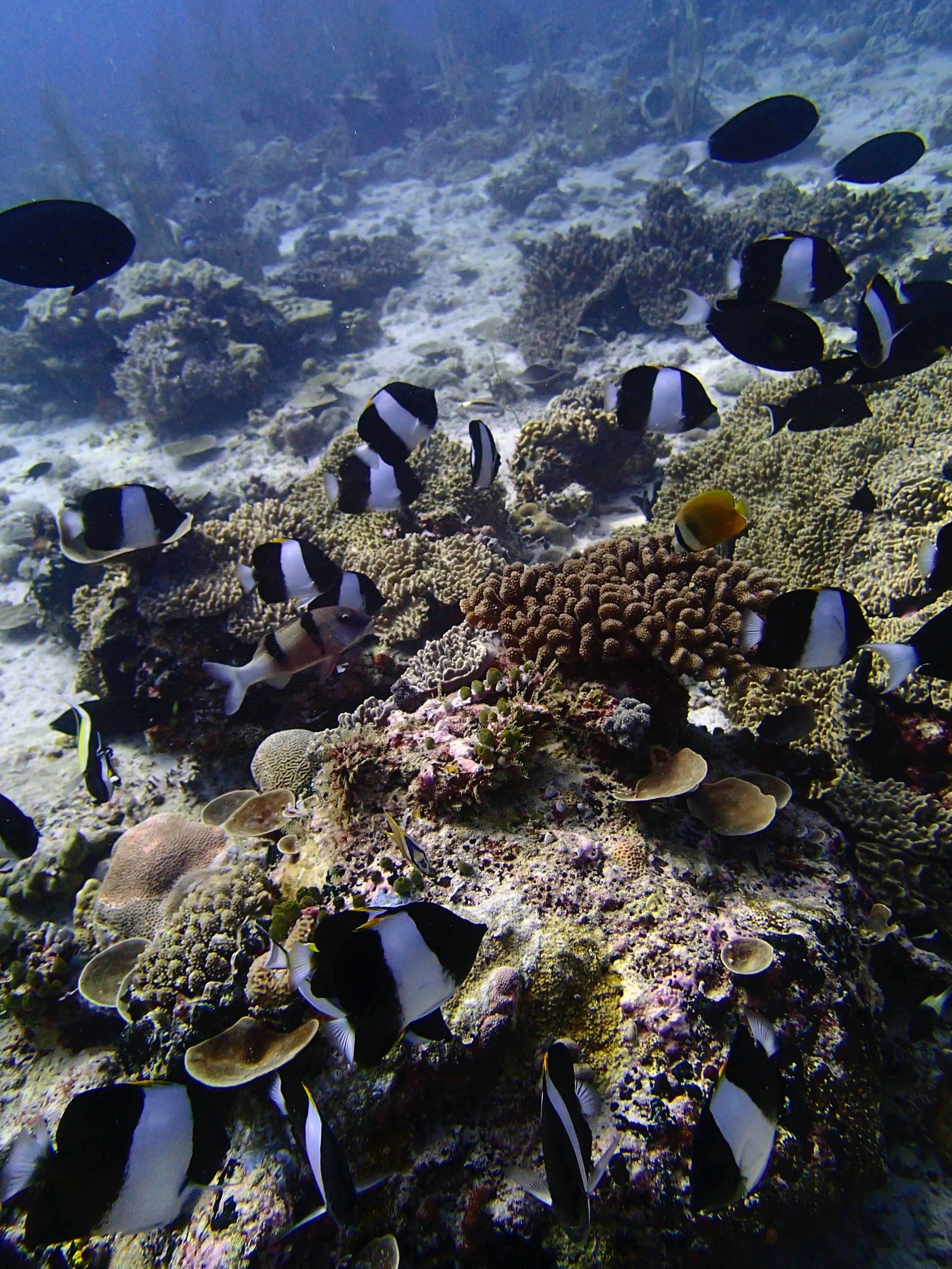 P3220426.jpg