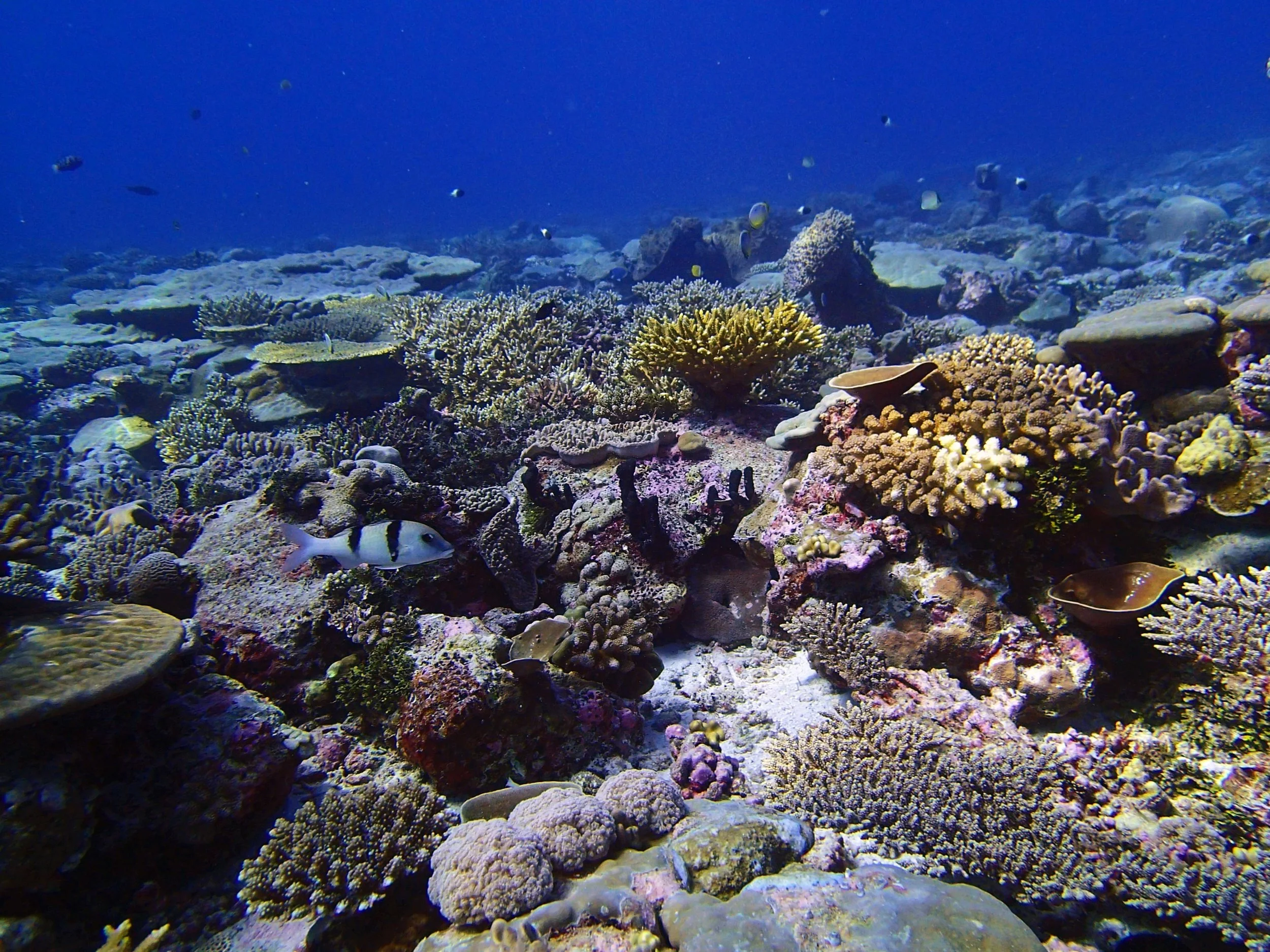 P3230410.jpg