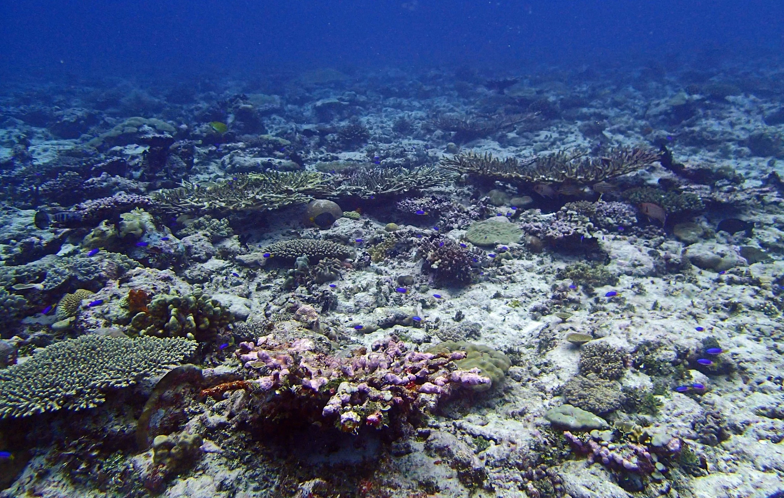 P3250480.jpg