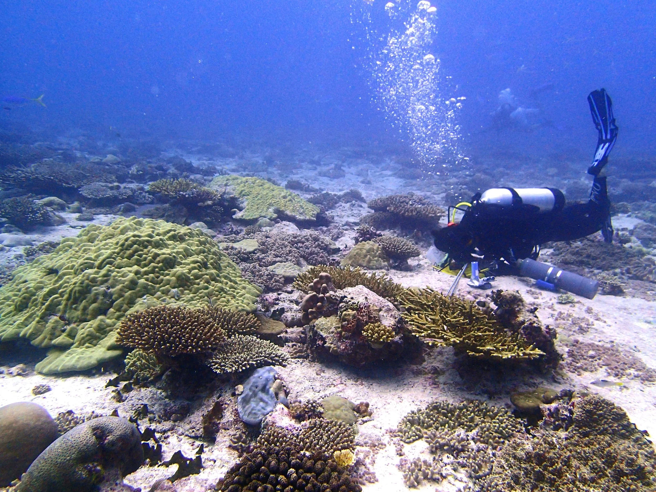 P3250386.jpg