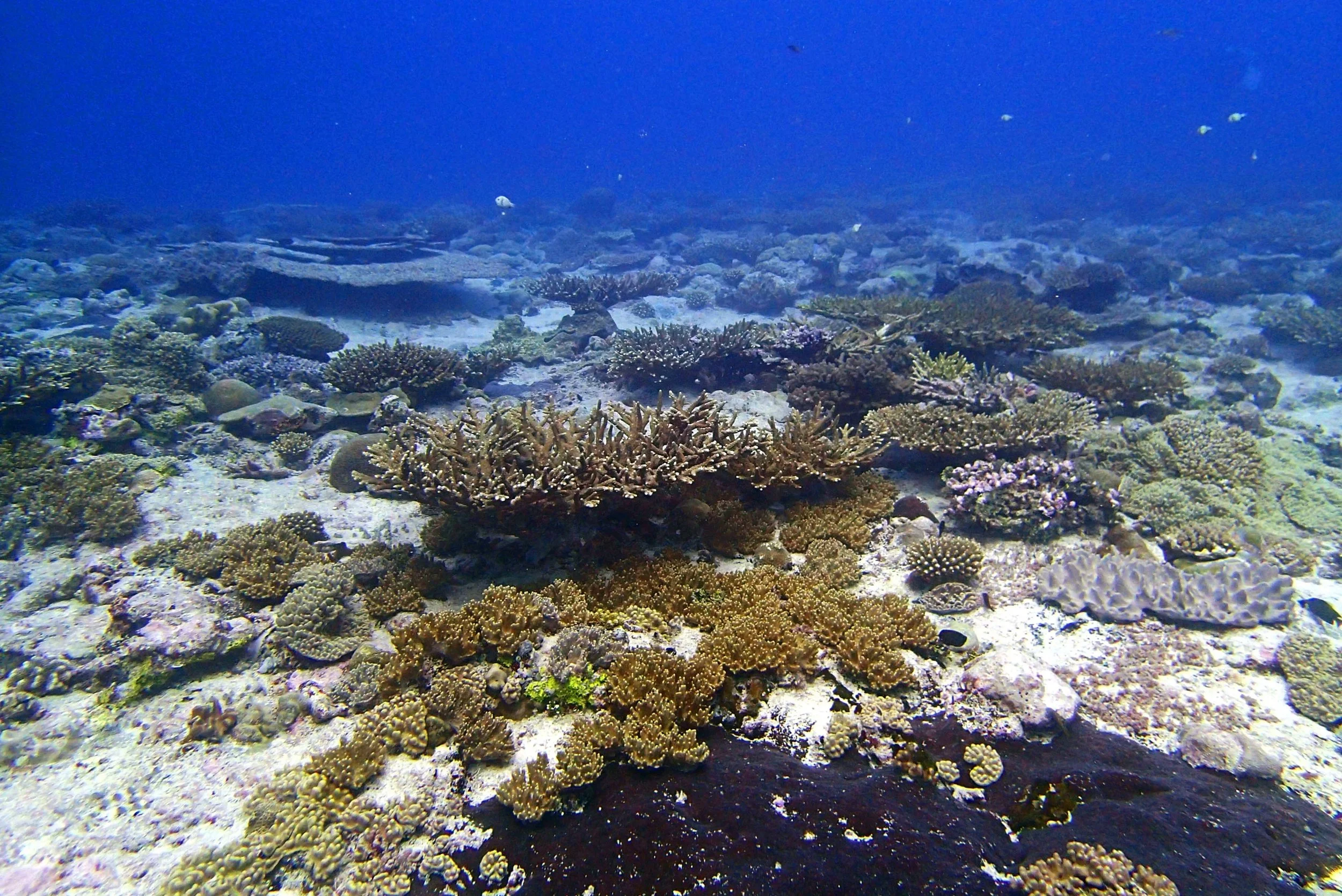 P3250390.jpg