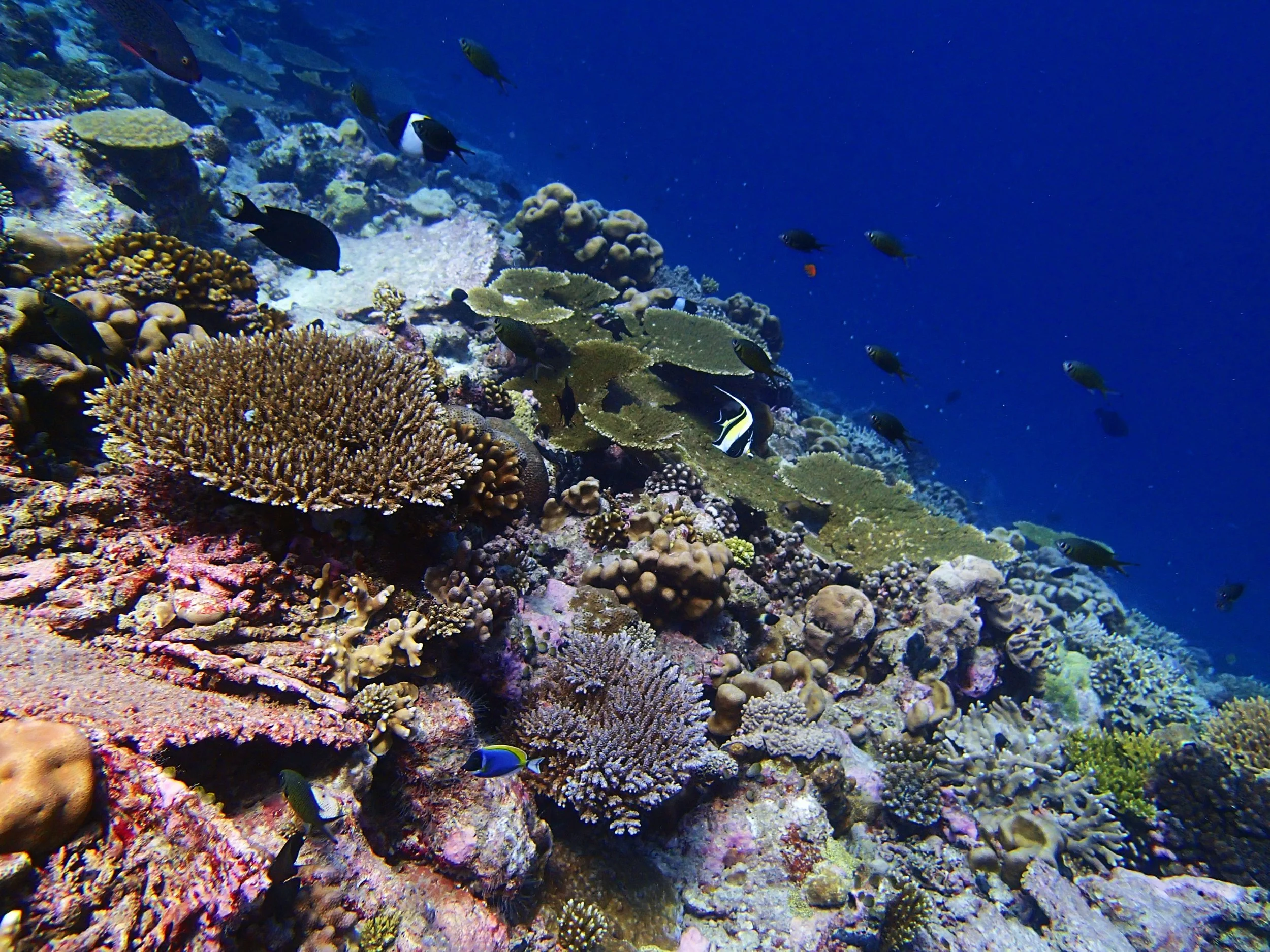 P3260481.jpg