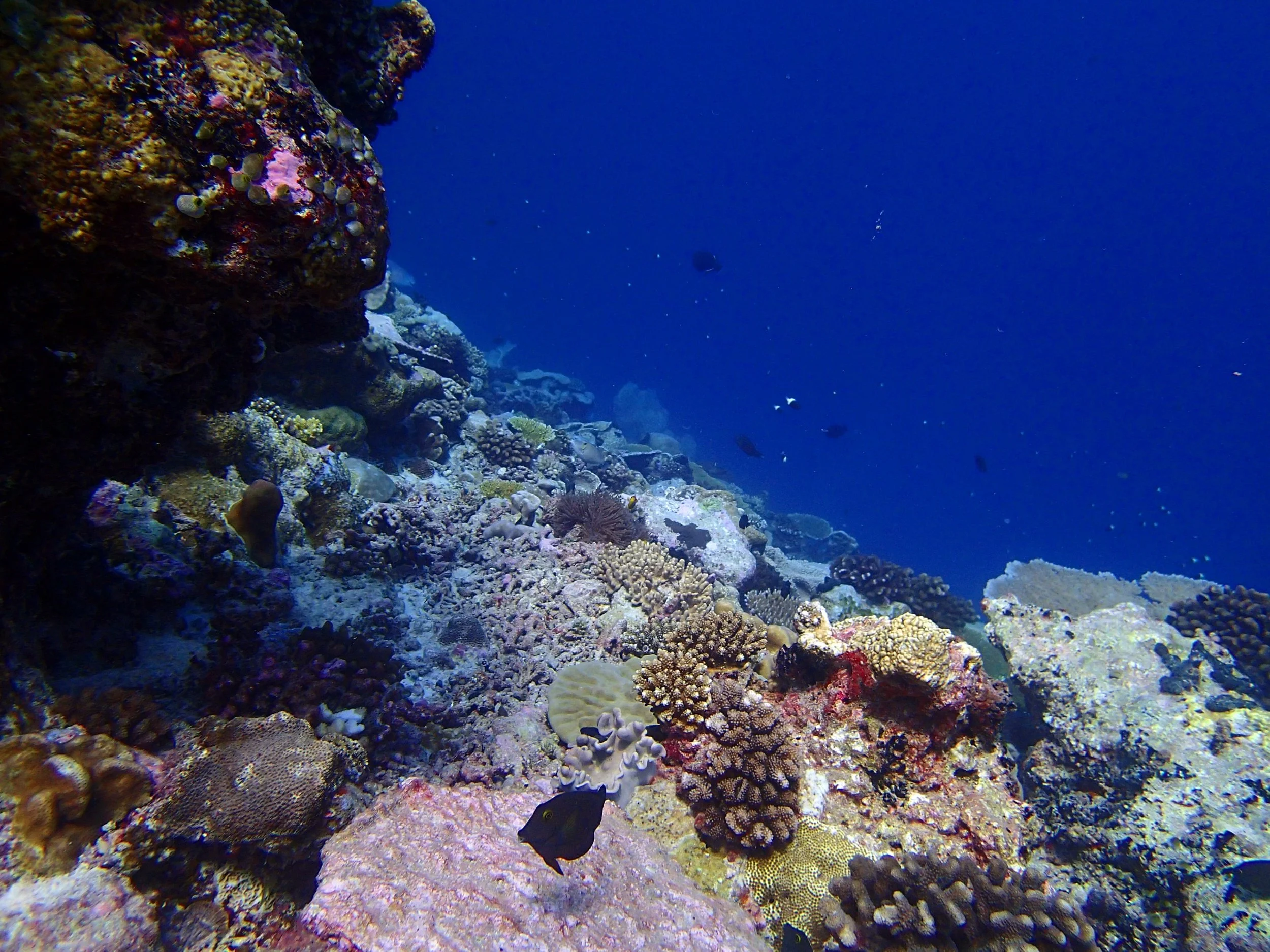 P3260483.jpg